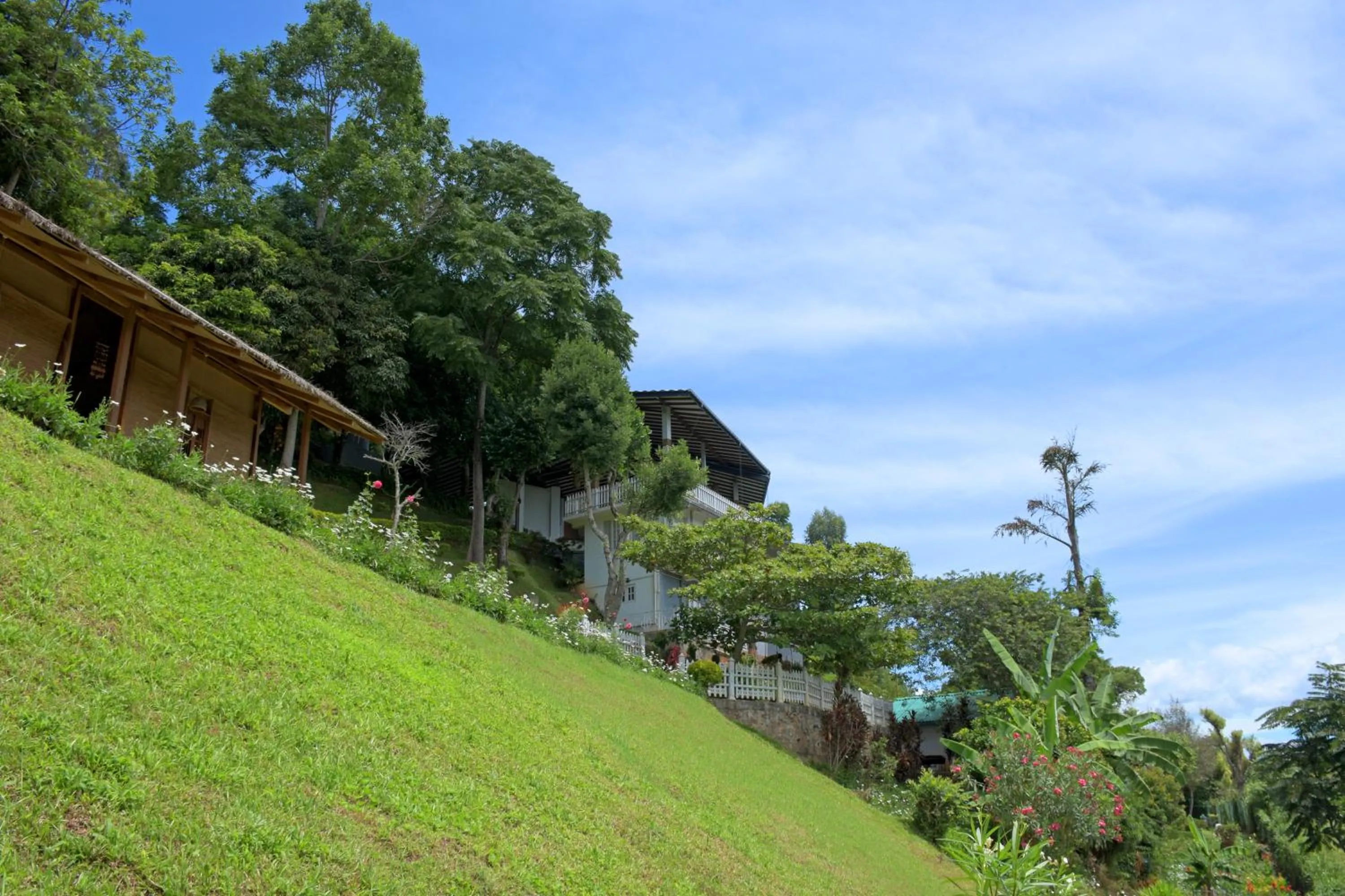 Garden in Villa Perpetua