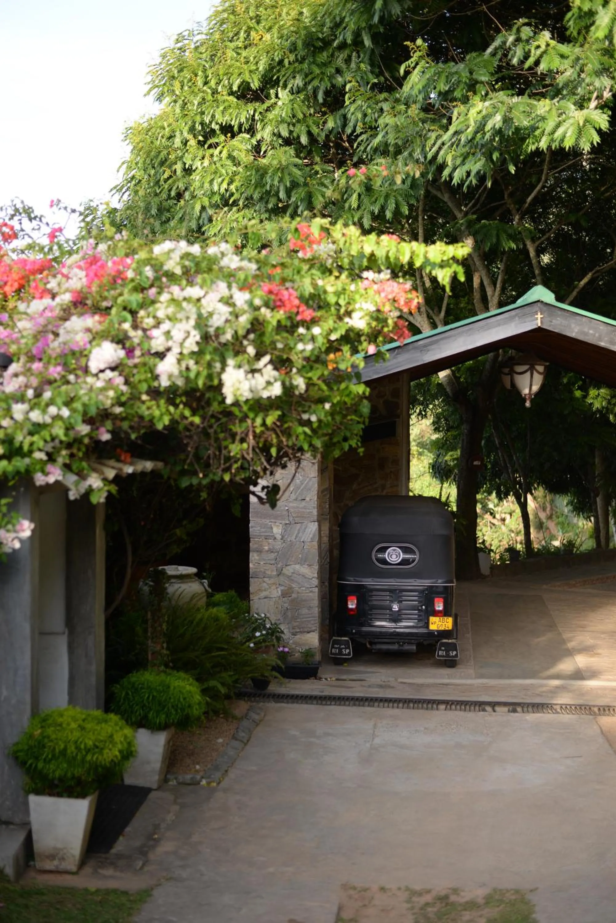 Garden in Villa Perpetua