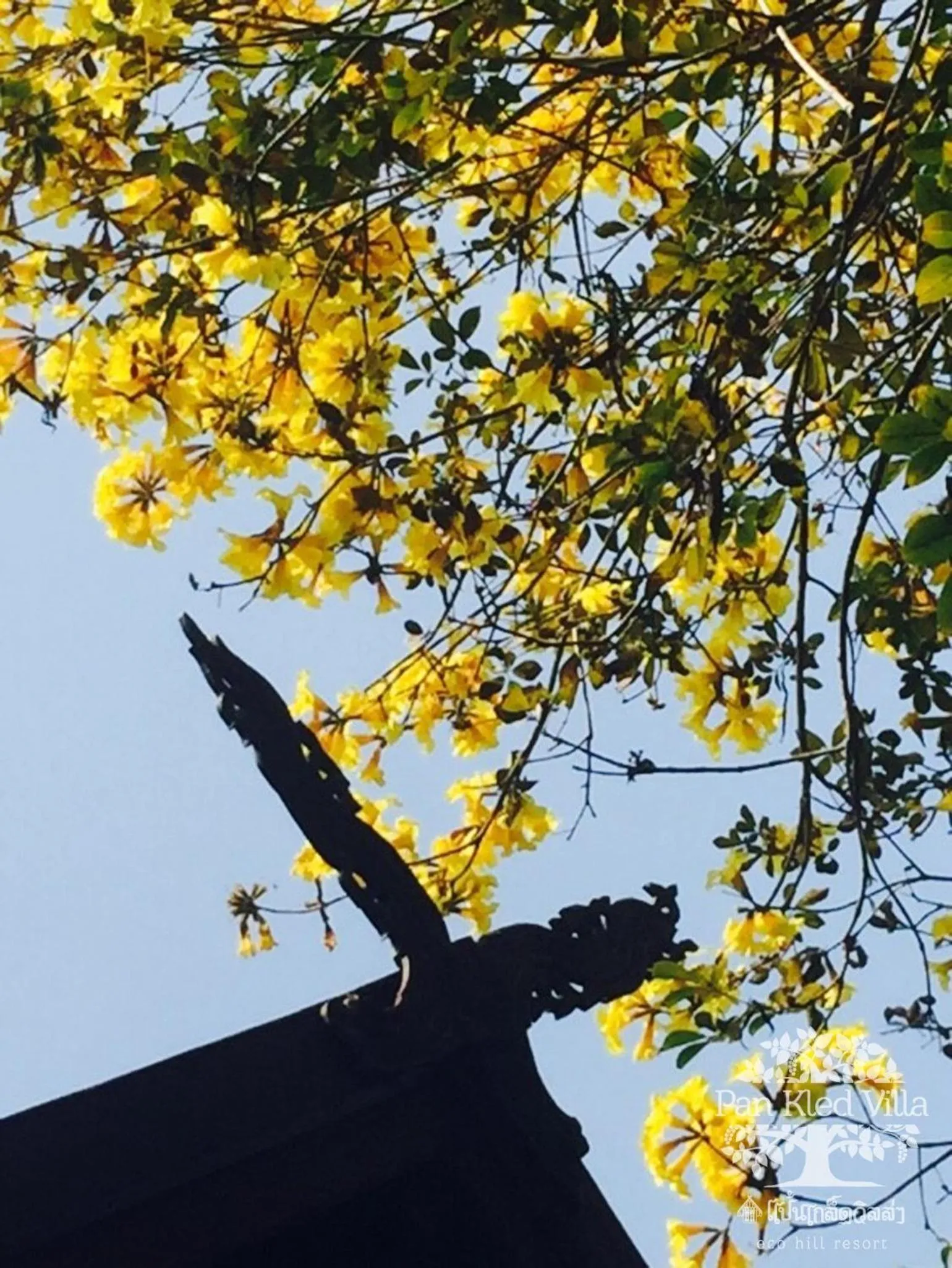 Balcony/Terrace in PAN KLED VILLA eco hill resort
