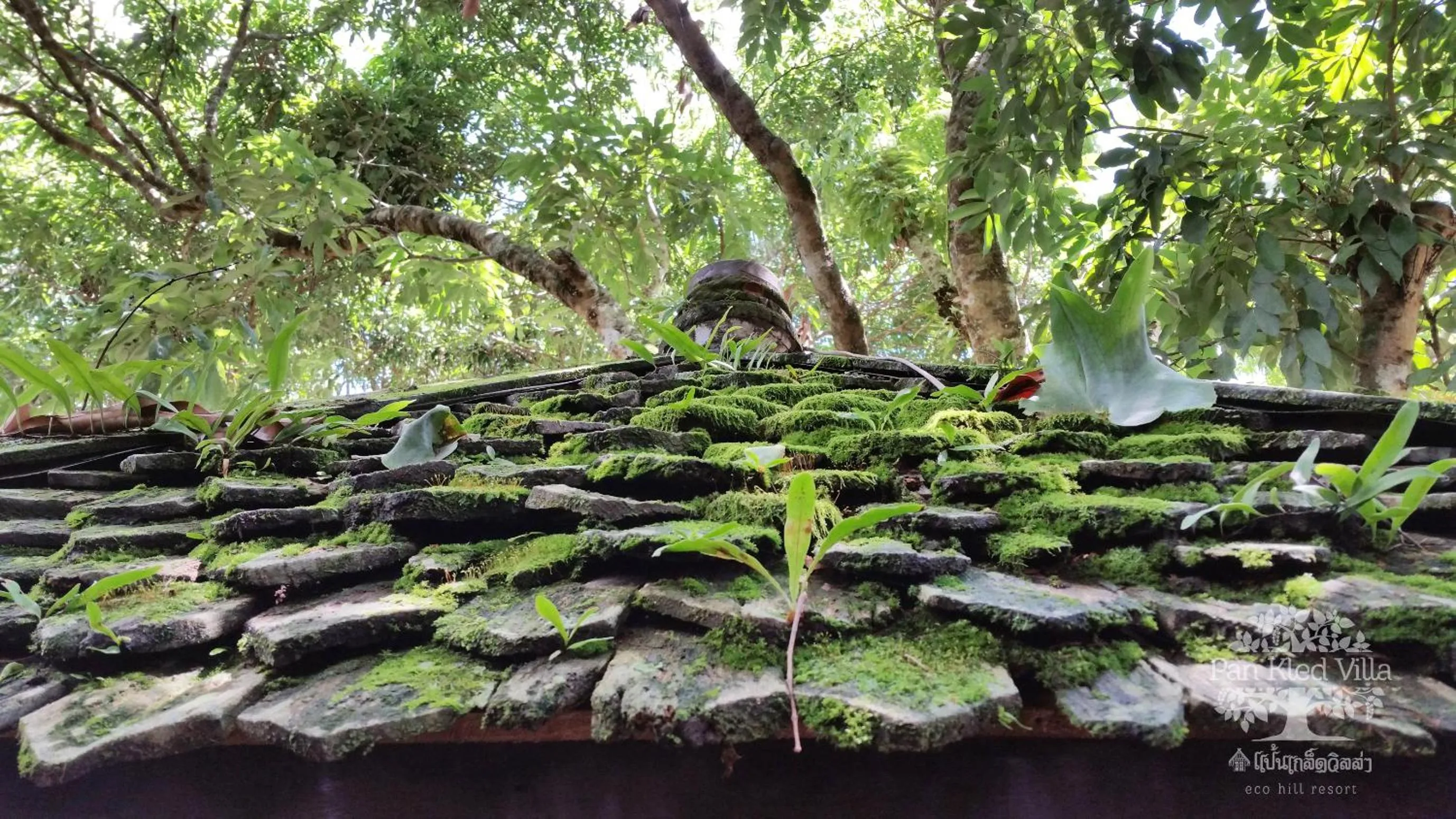 Decorative detail in PAN KLED VILLA eco hill resort