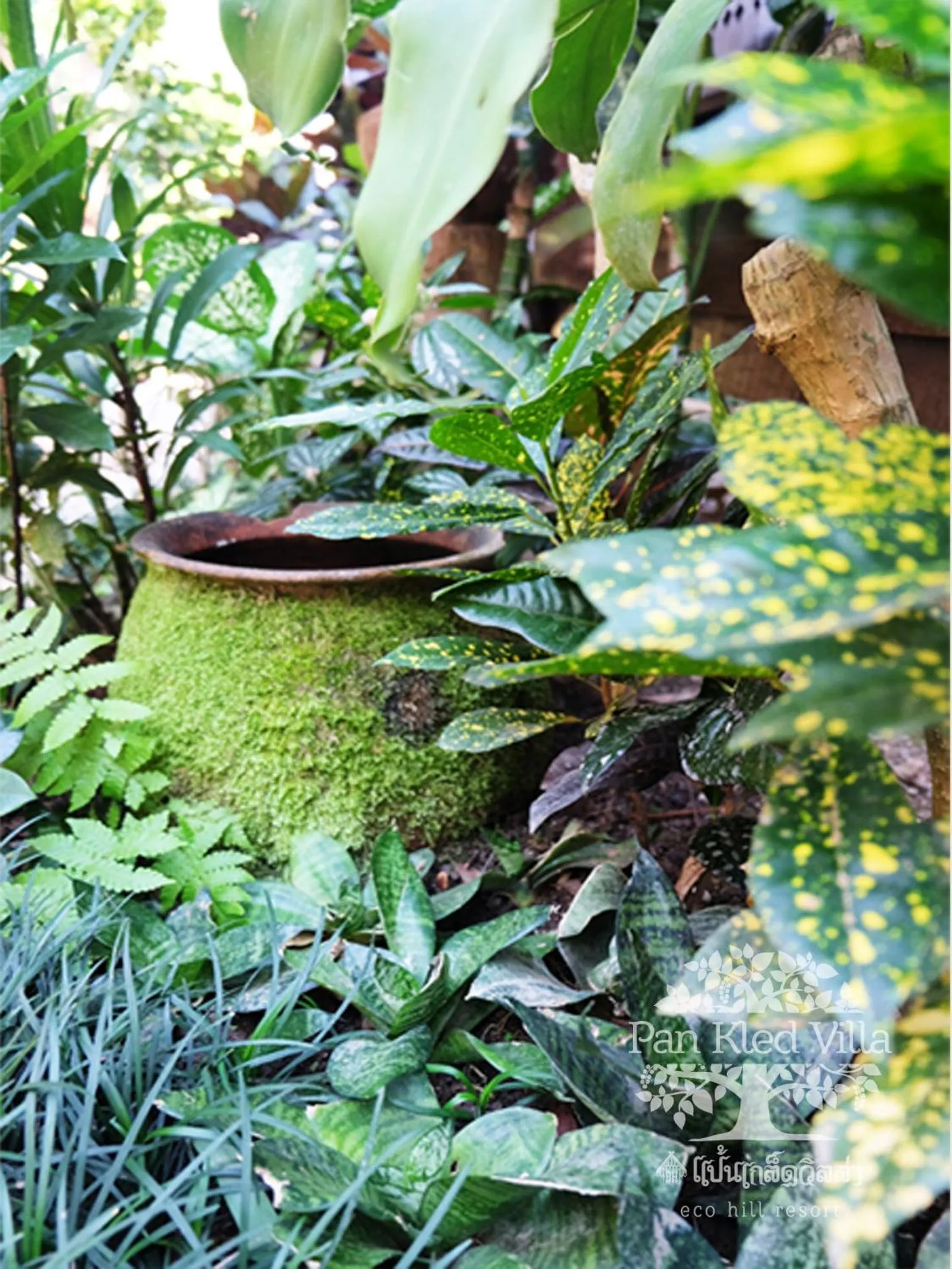 Garden in PAN KLED VILLA eco hill resort