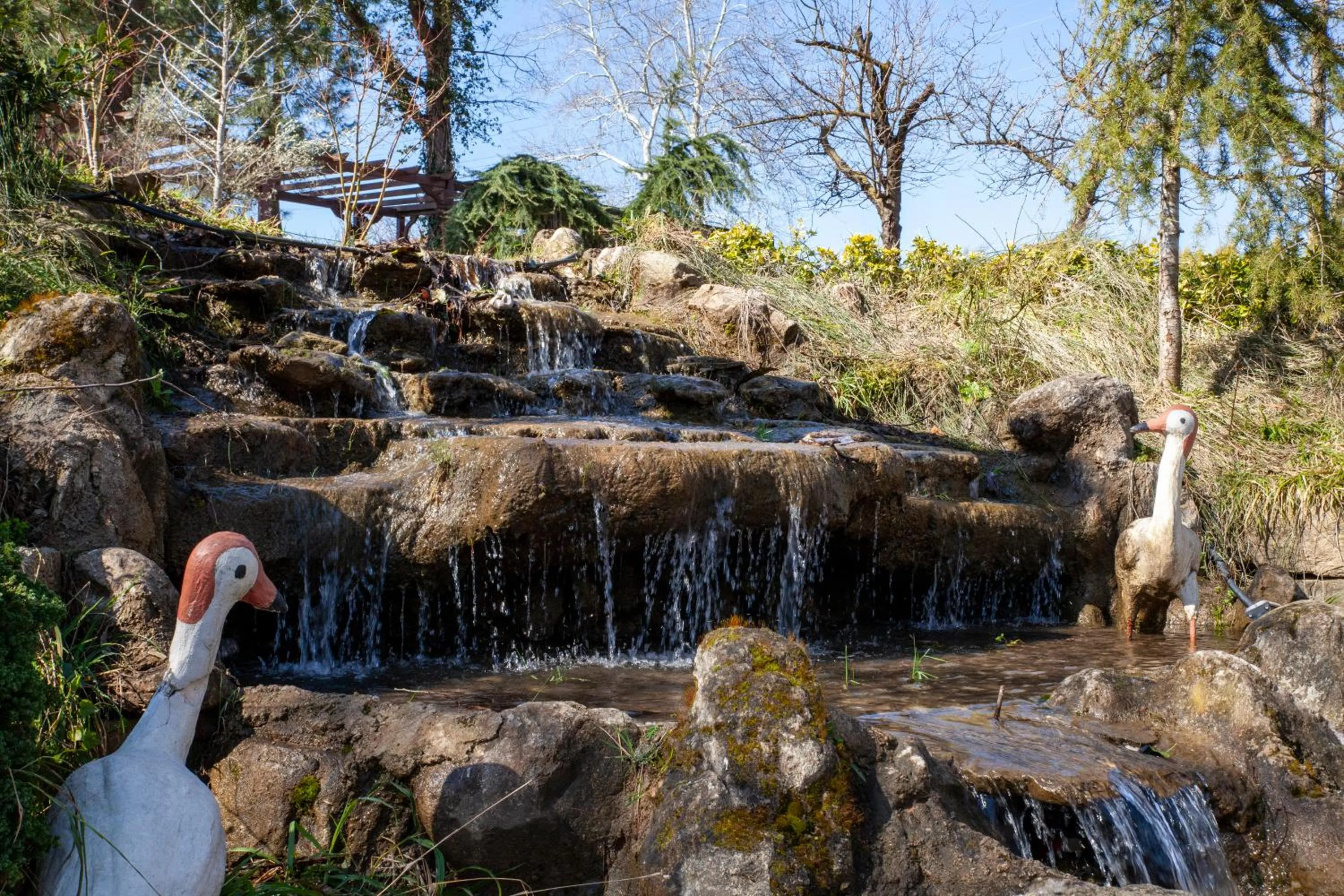 Garden in Elgarden Hotel & Spa