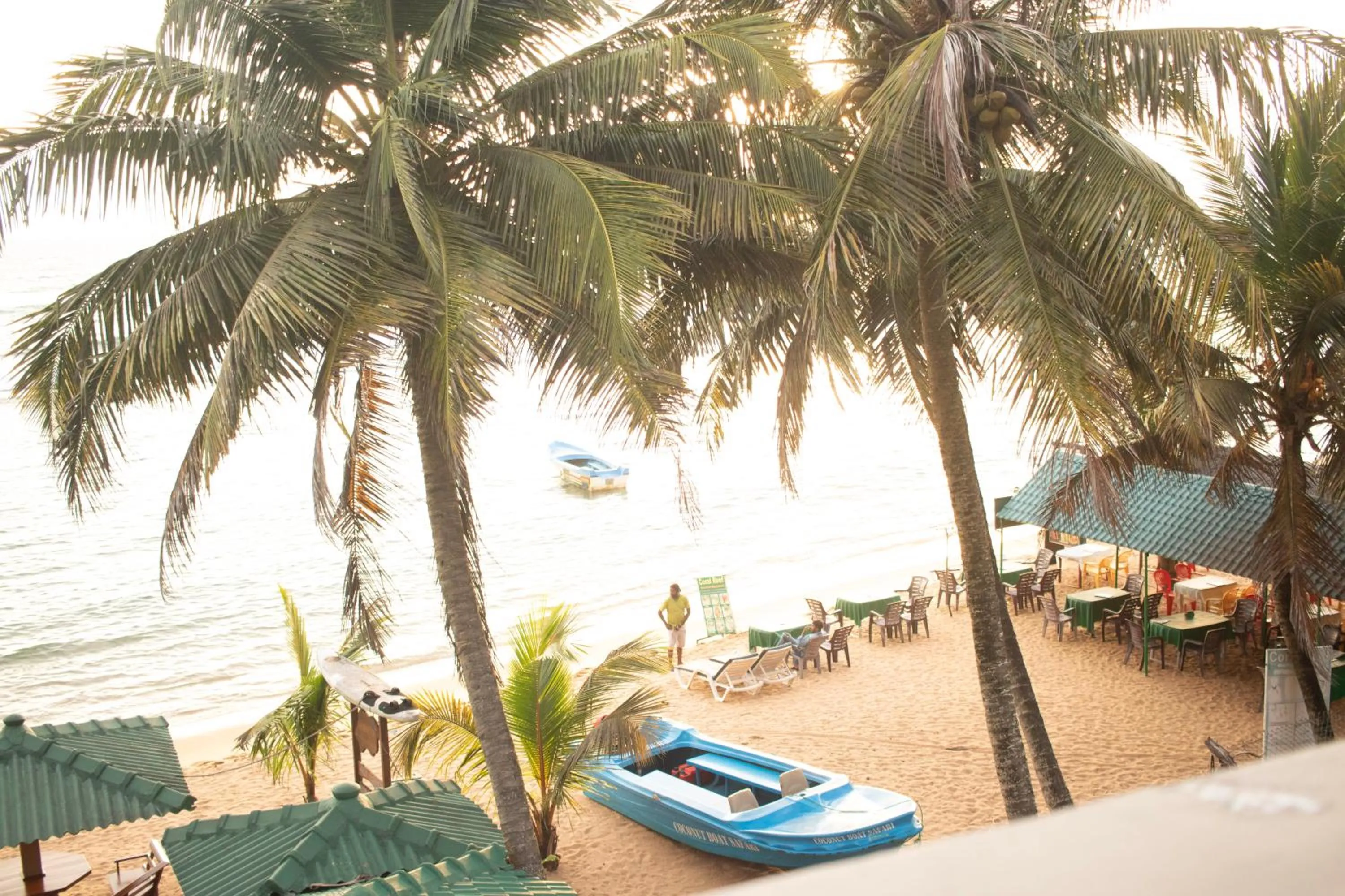 Natural landscape in Hotel Coconut Bar Sea Lodge
