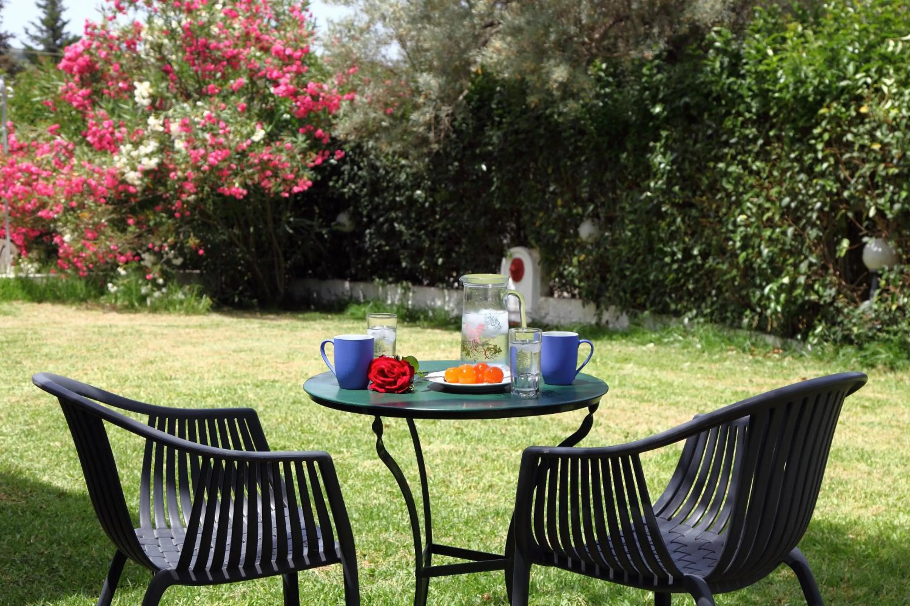 Day in Summer House Louisa