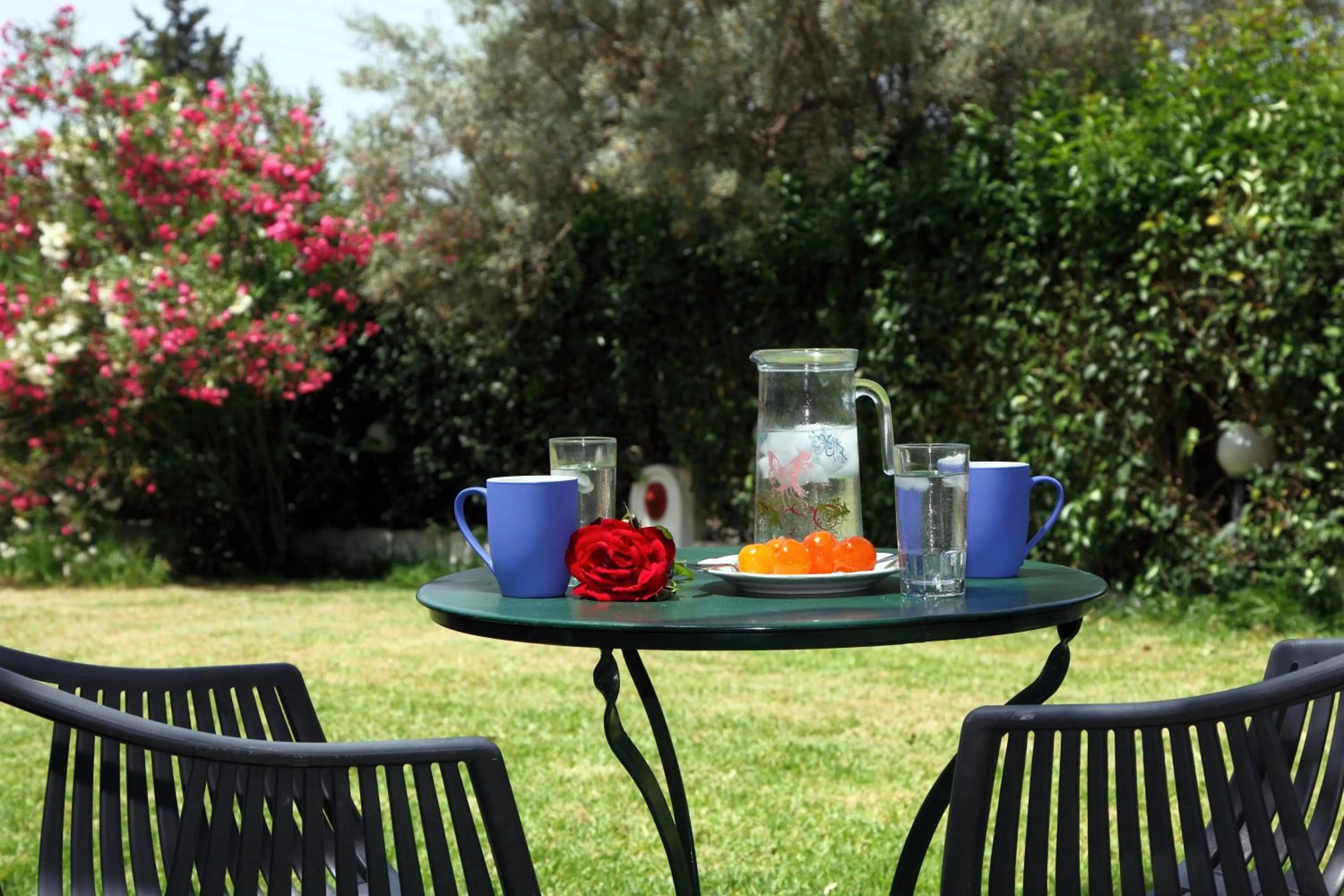 Garden in Summer House Louisa