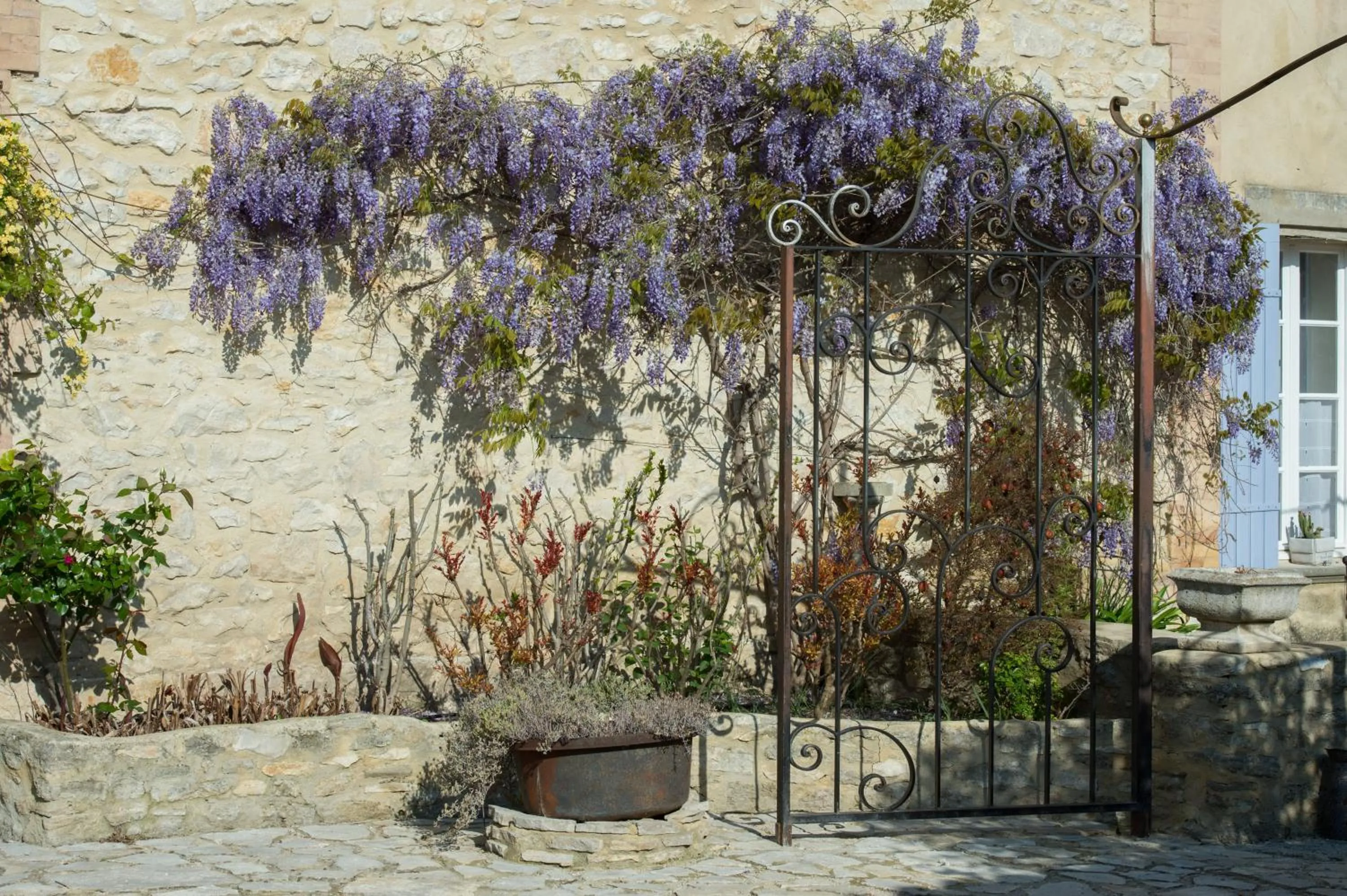 Garden view in Les Carmes and spa