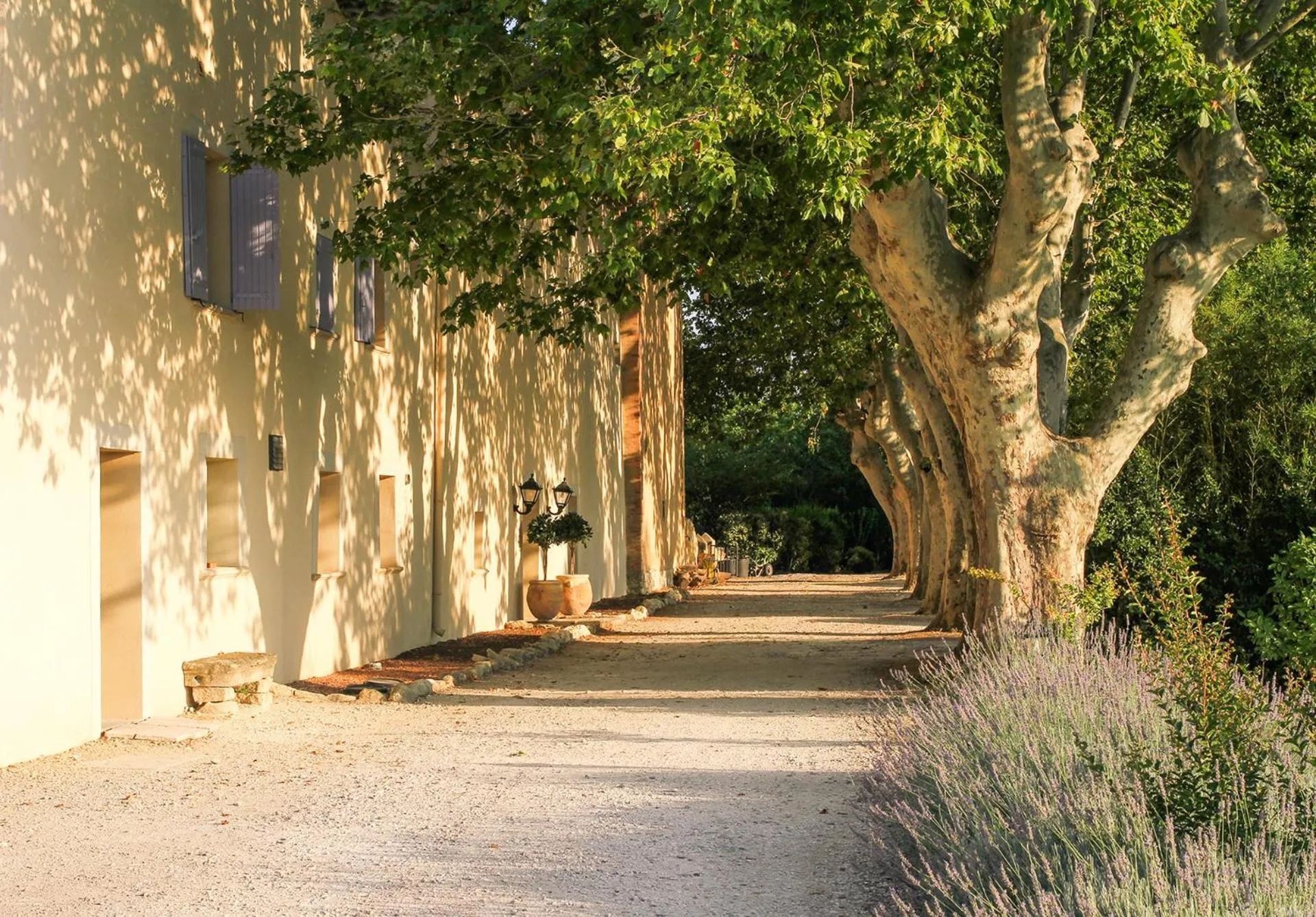 Facade/entrance in Les Carmes and spa