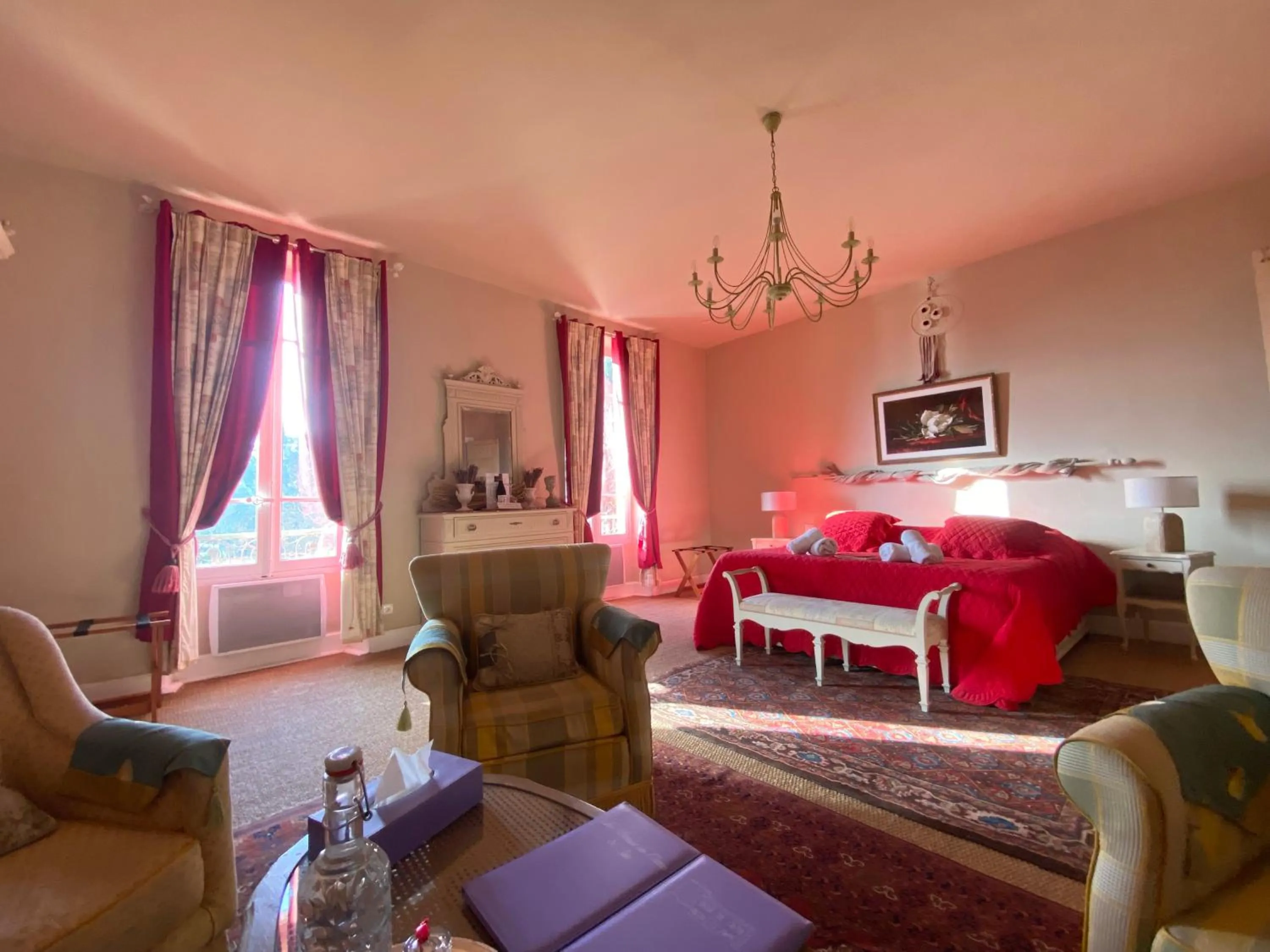 Photo of the whole room in Les Carmes and spa