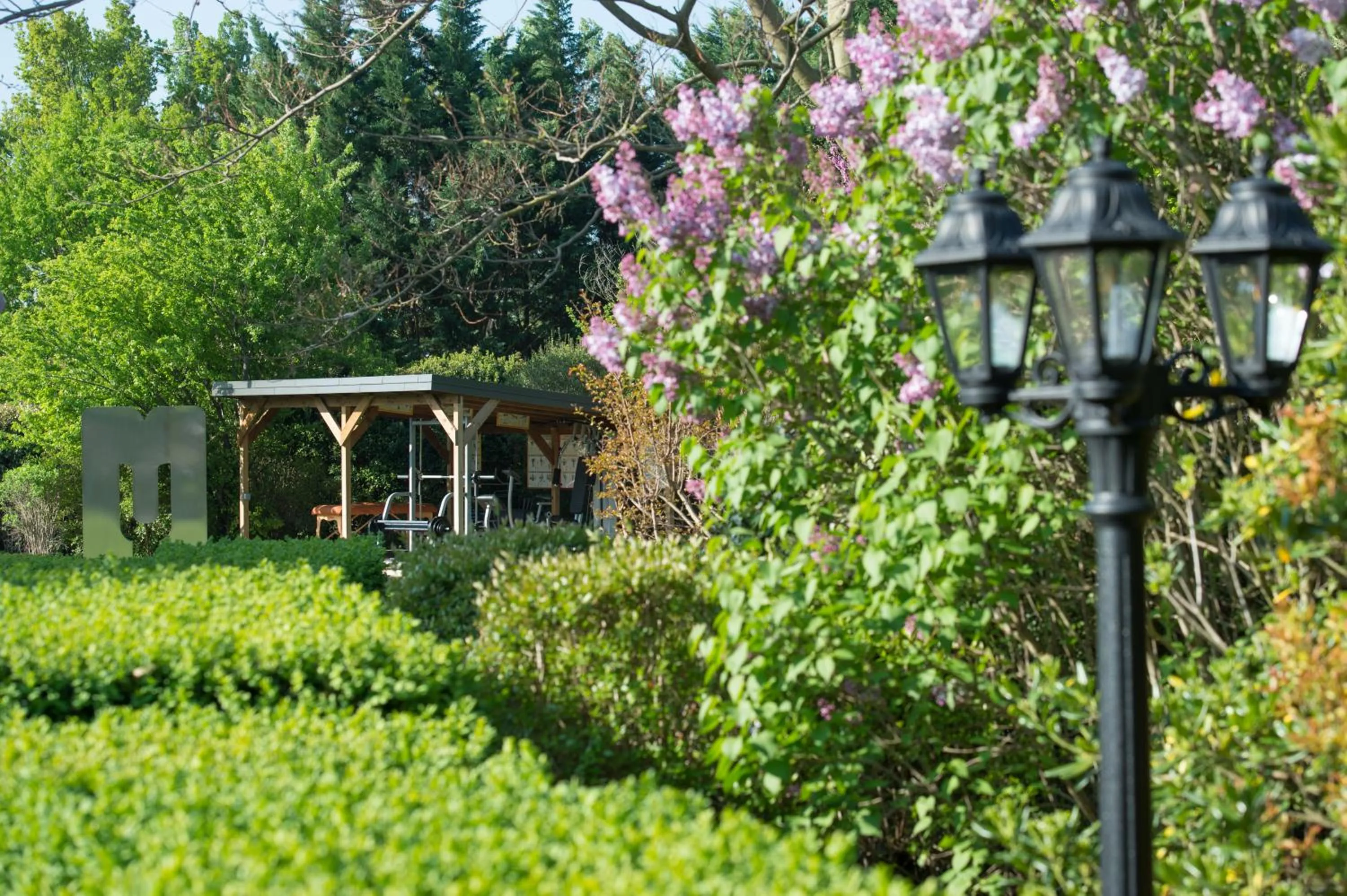 Garden in Les Carmes and spa
