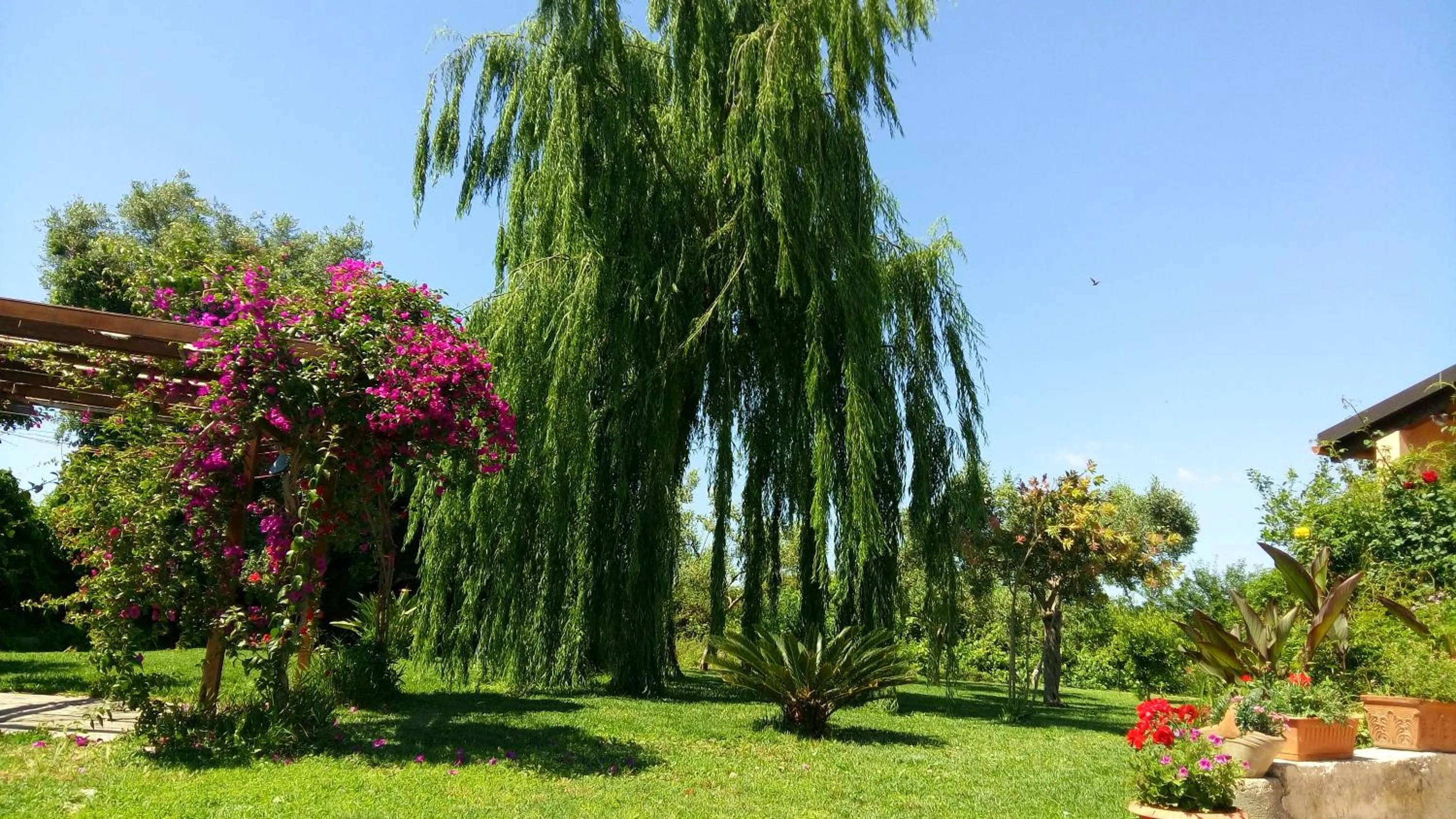 Property building in La Casa Dei Sogni