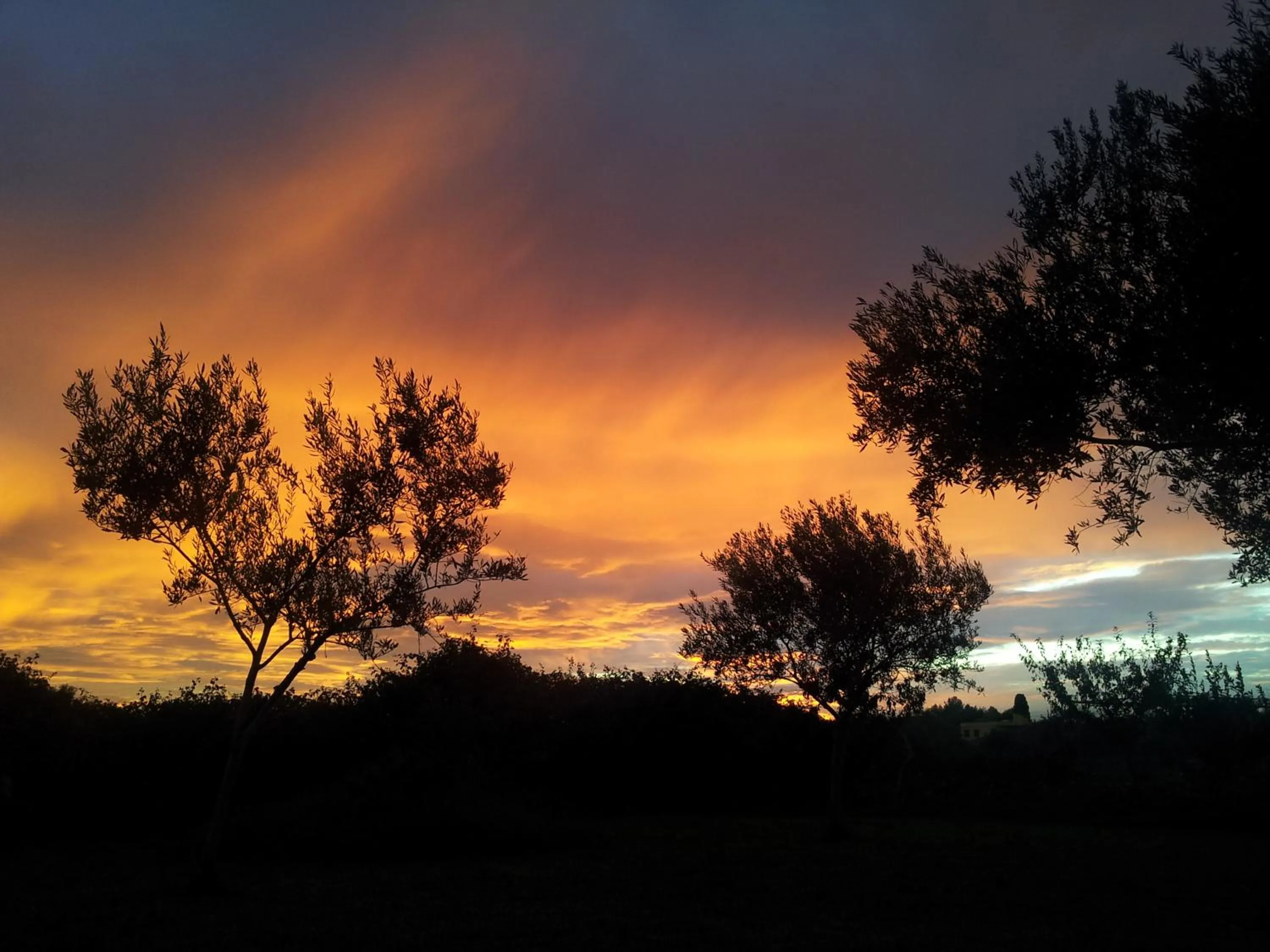 Natural landscape in La Casa Dei Sogni