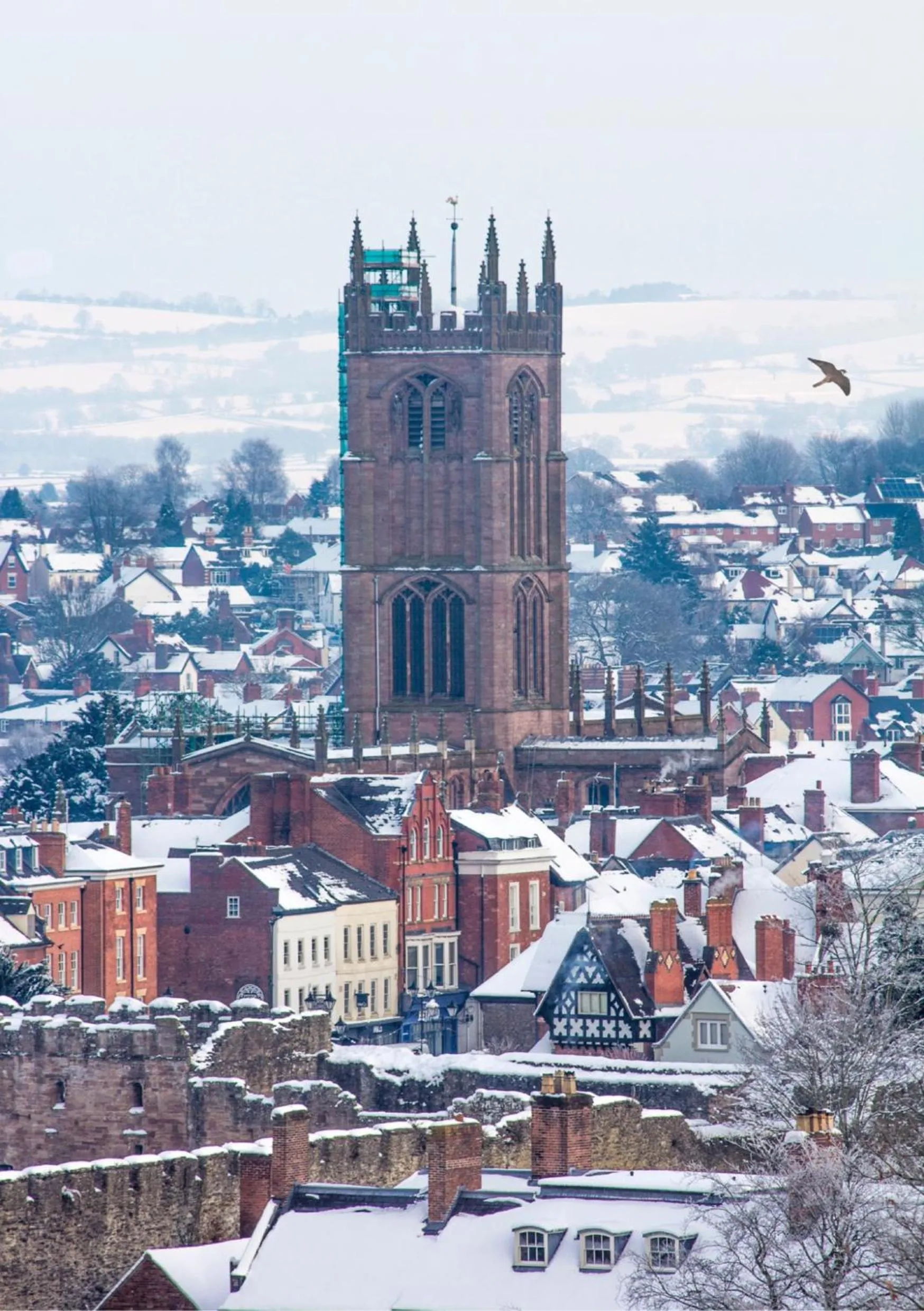 Nearby landmark in Ludlow Mascall Centre