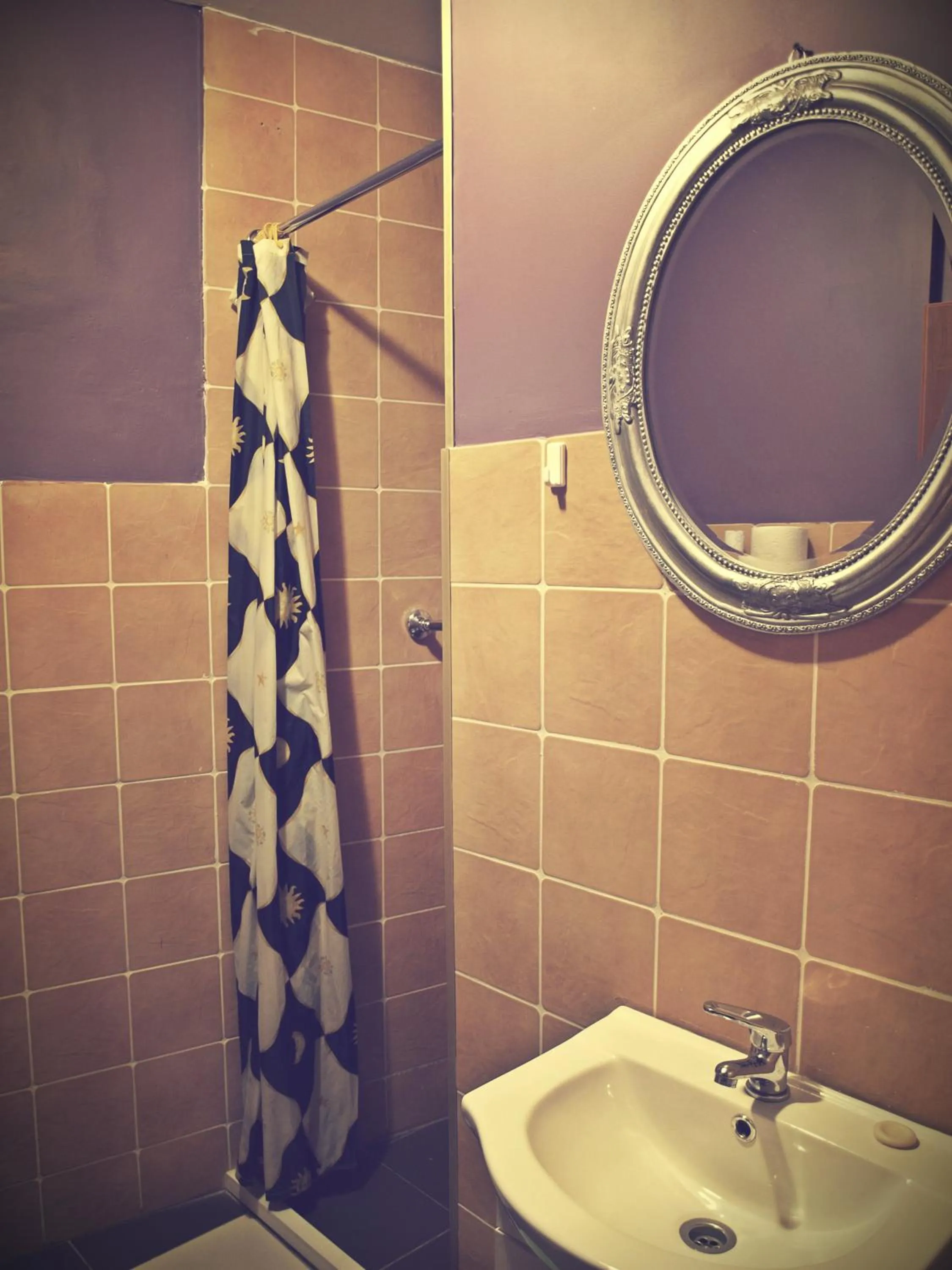 Other in Kaktus Guest House