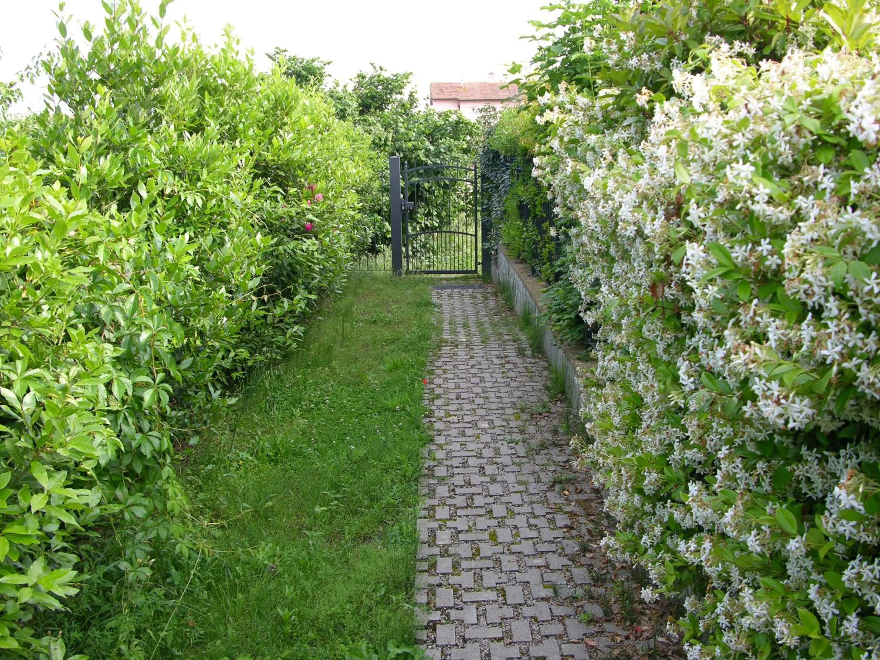 Facade/entrance in Appartamento Vacanze Magnolia e Glicine