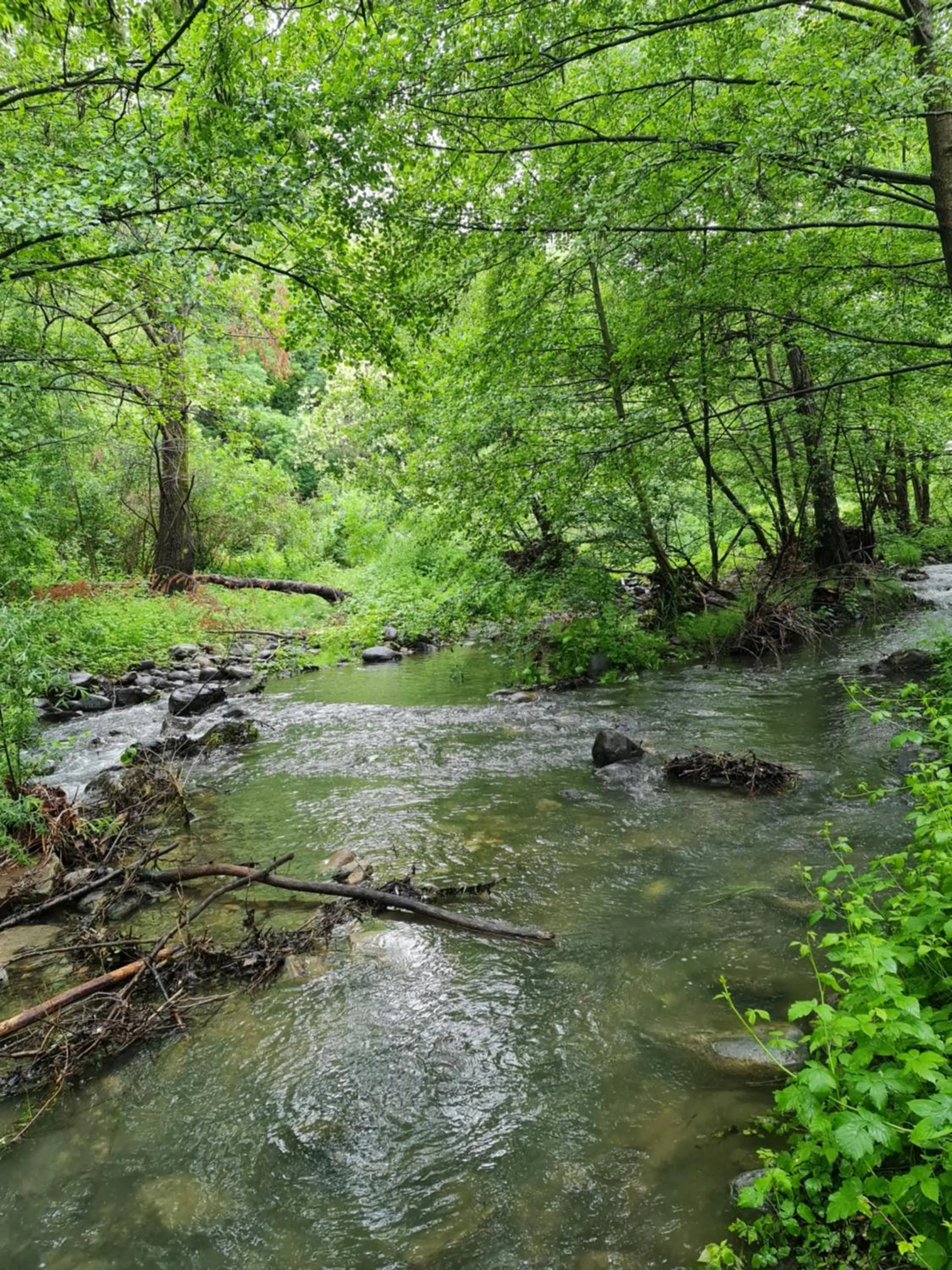 River view in Le Moulin D'onclaire Camping et chambres d'hôtes