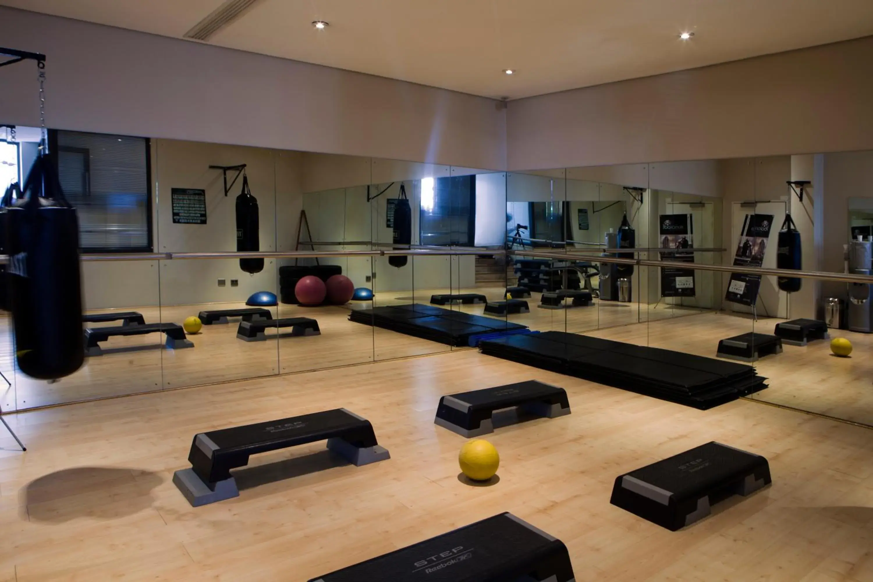 Fitness centre/facilities in Raphael Suites Fitness centre/facilities in Raphael Suites