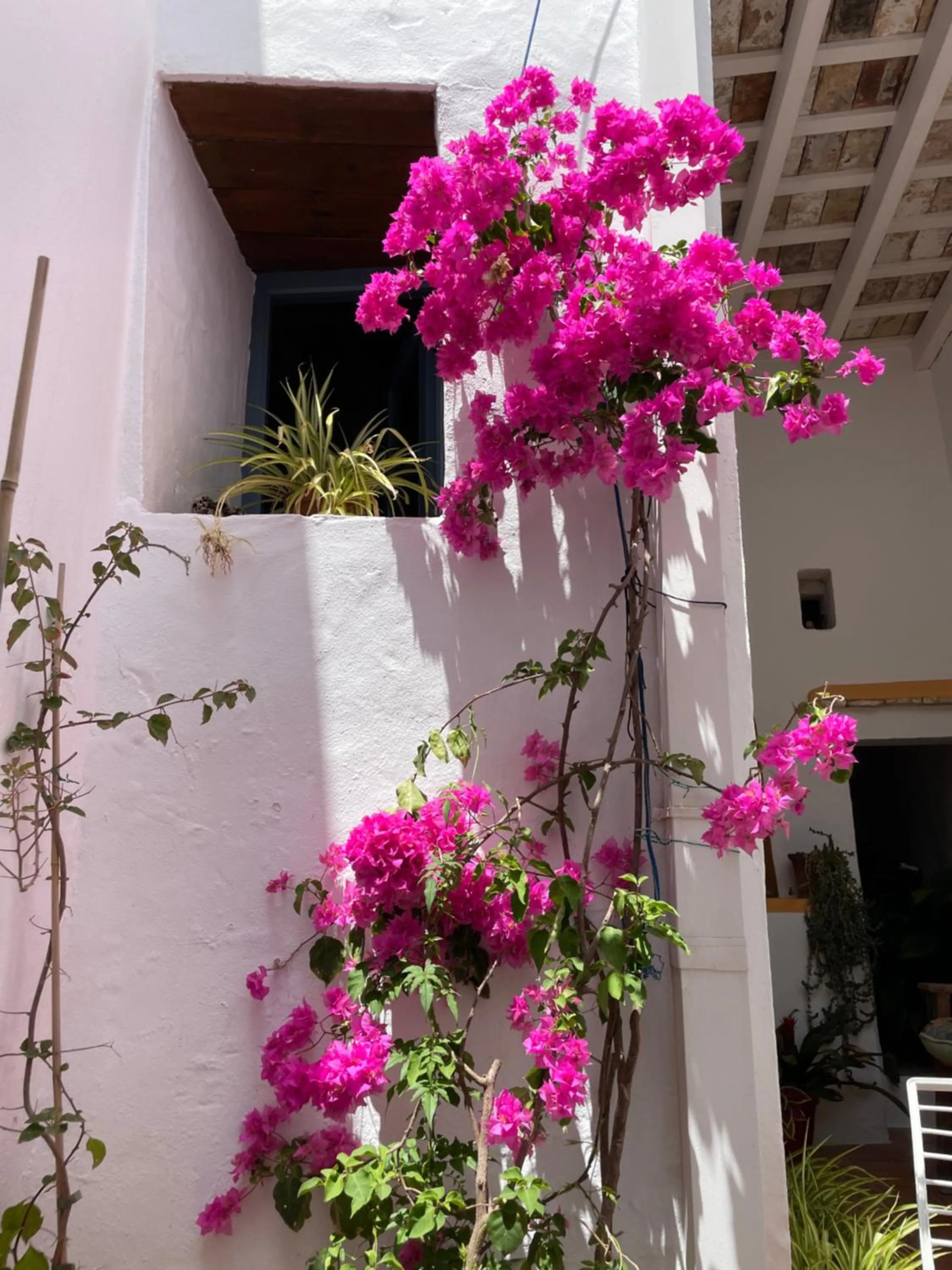 Casa Dulce