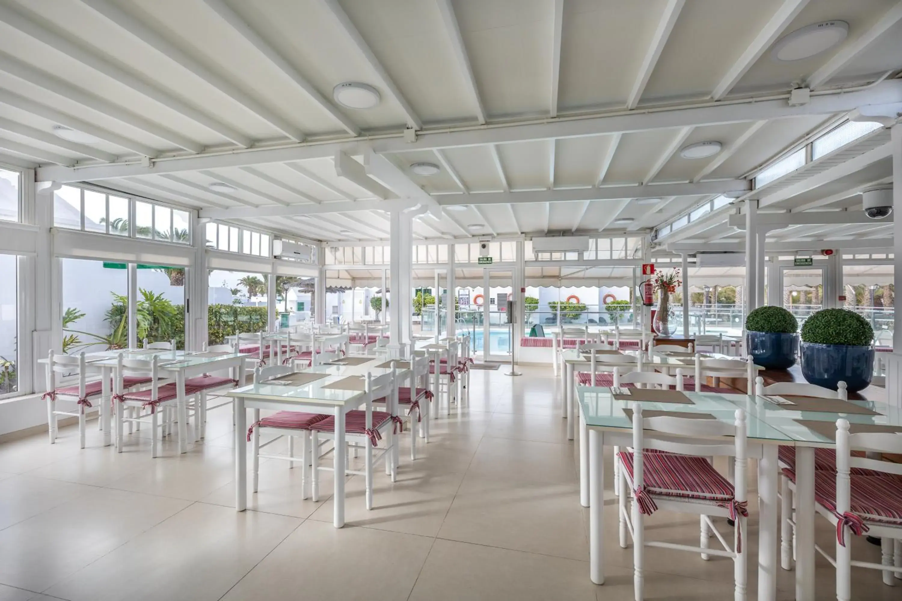 Restaurant/places to eat in Apartamentos LIVVO Las Gaviotas Restaurant/places to eat in Apartamentos LIVVO Las Gaviotas