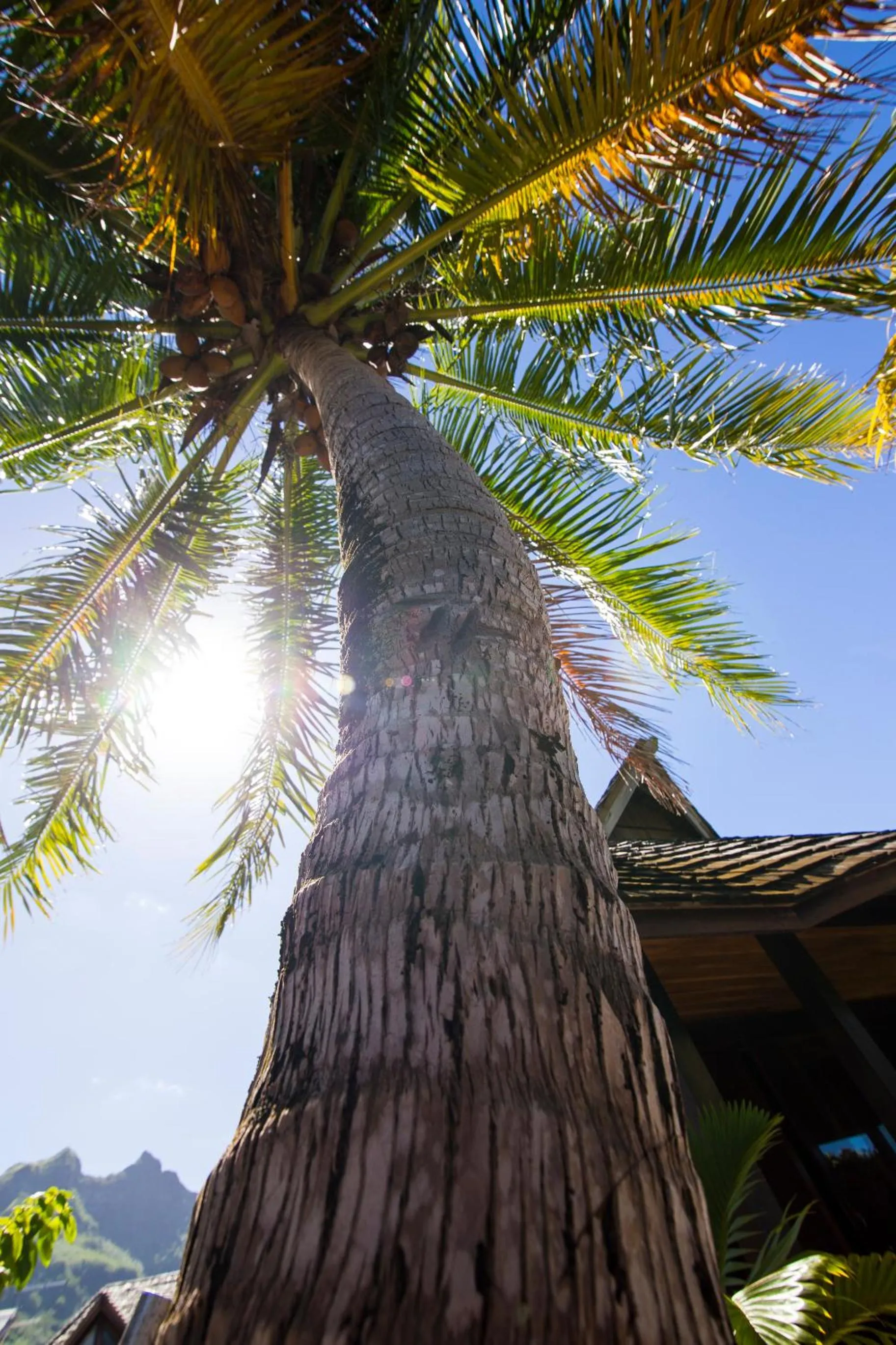 Garden view in Oa Oa Lodge