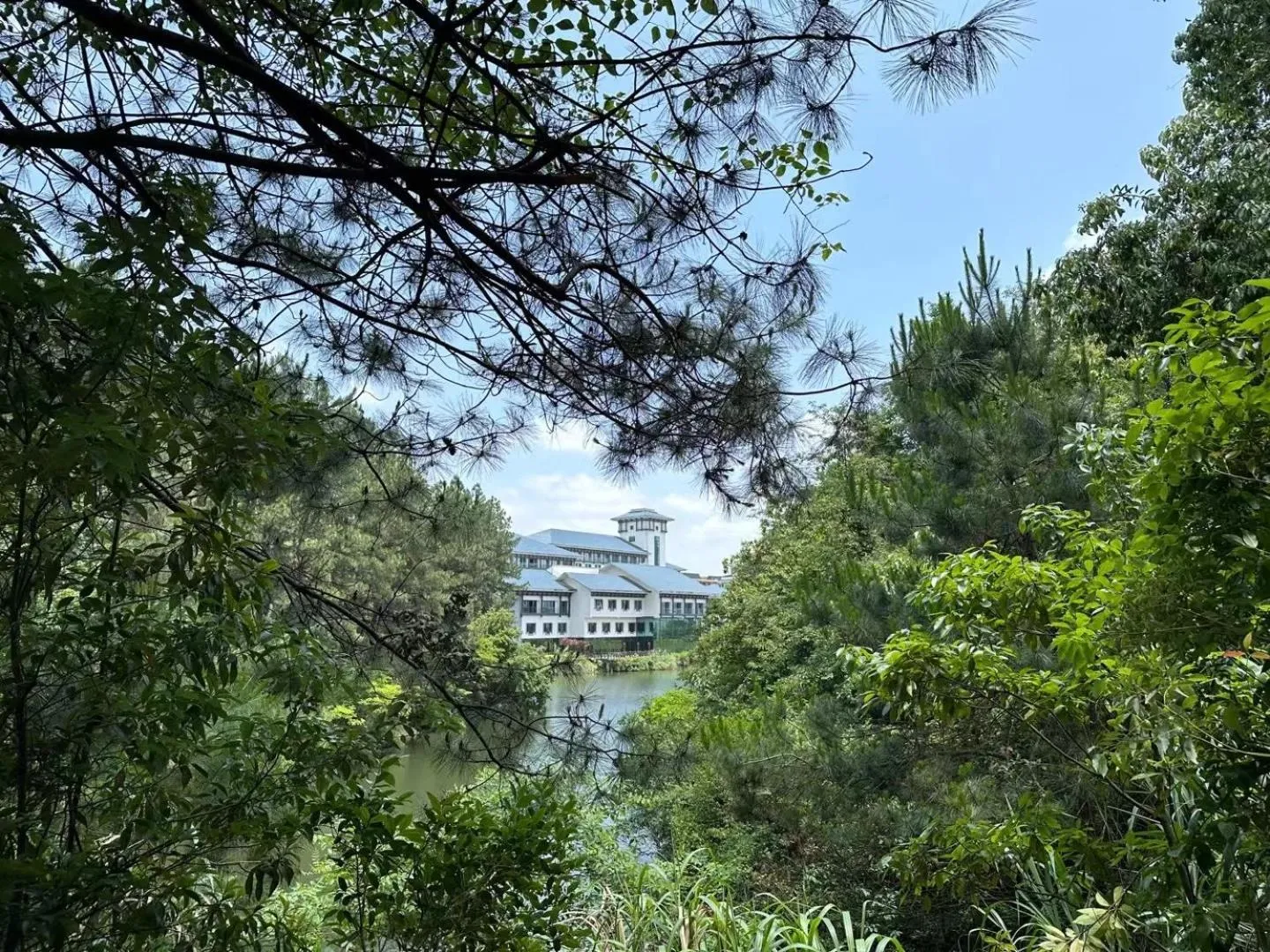 Natural landscape in LakeSide Resort Jingdezhen