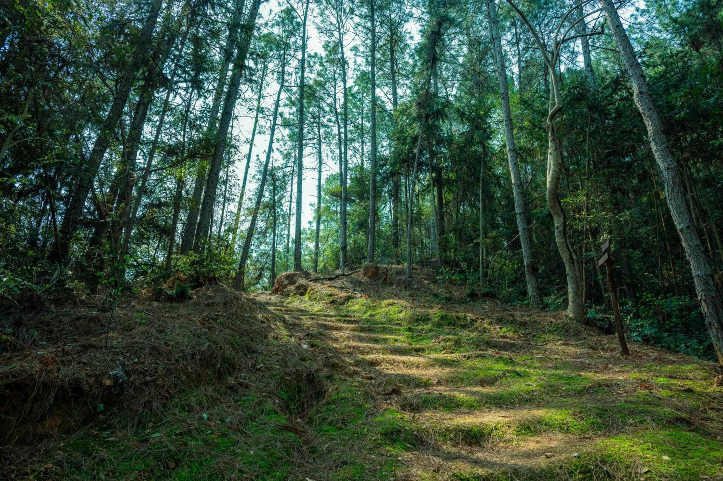 Natural landscape in LakeSide Resort Jingdezhen