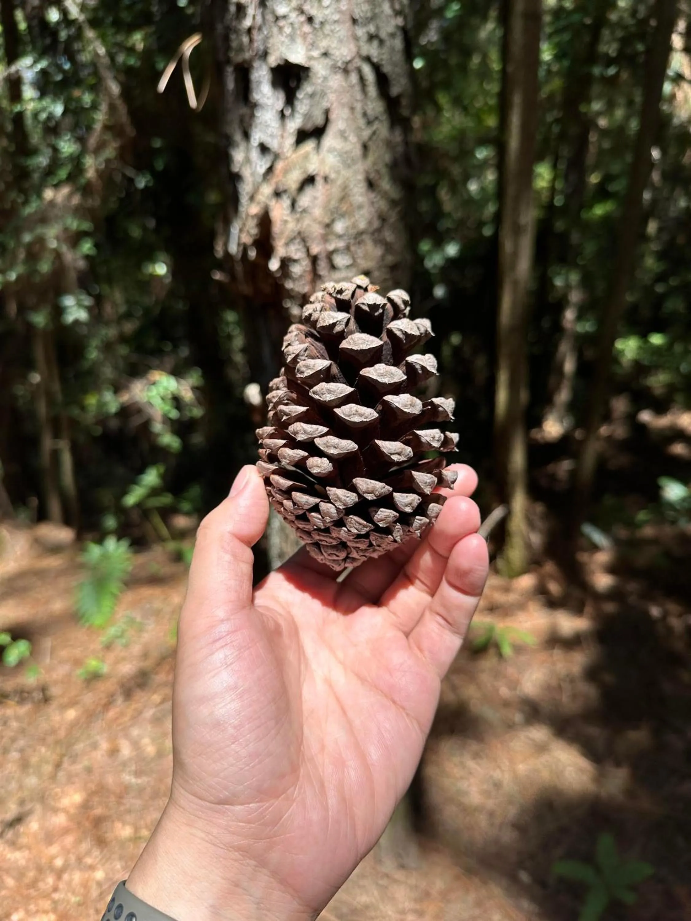 Natural landscape in LakeSide Resort Jingdezhen