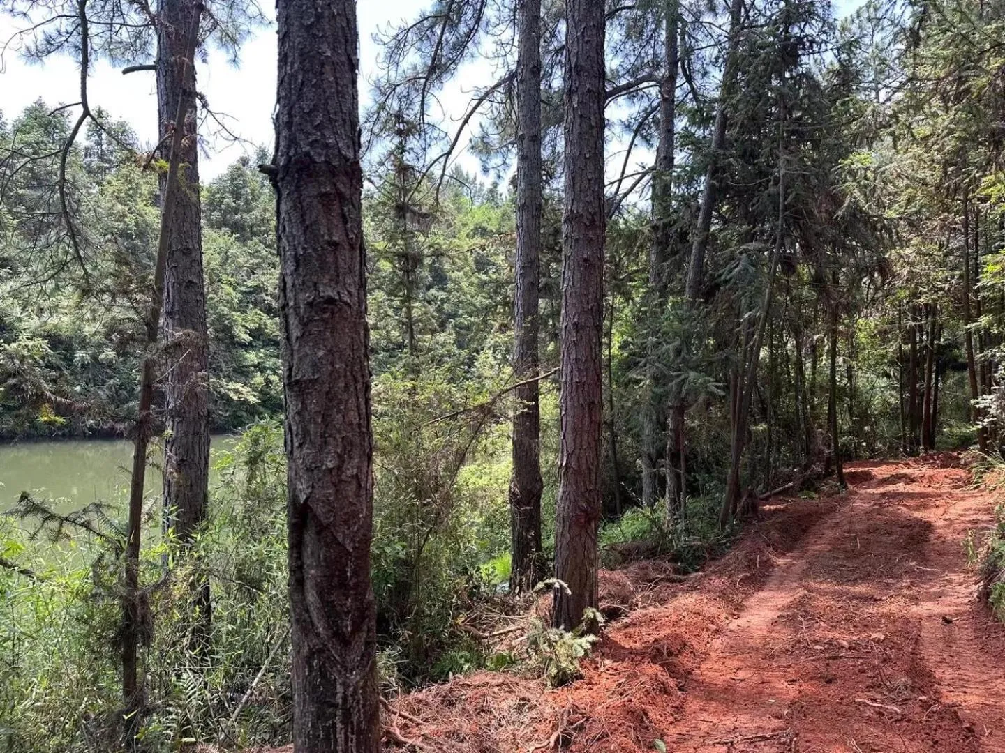 Natural landscape in LakeSide Resort Jingdezhen
