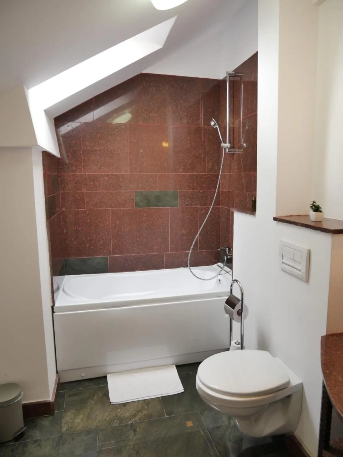 Toilet in Sibiu City Center Apartments