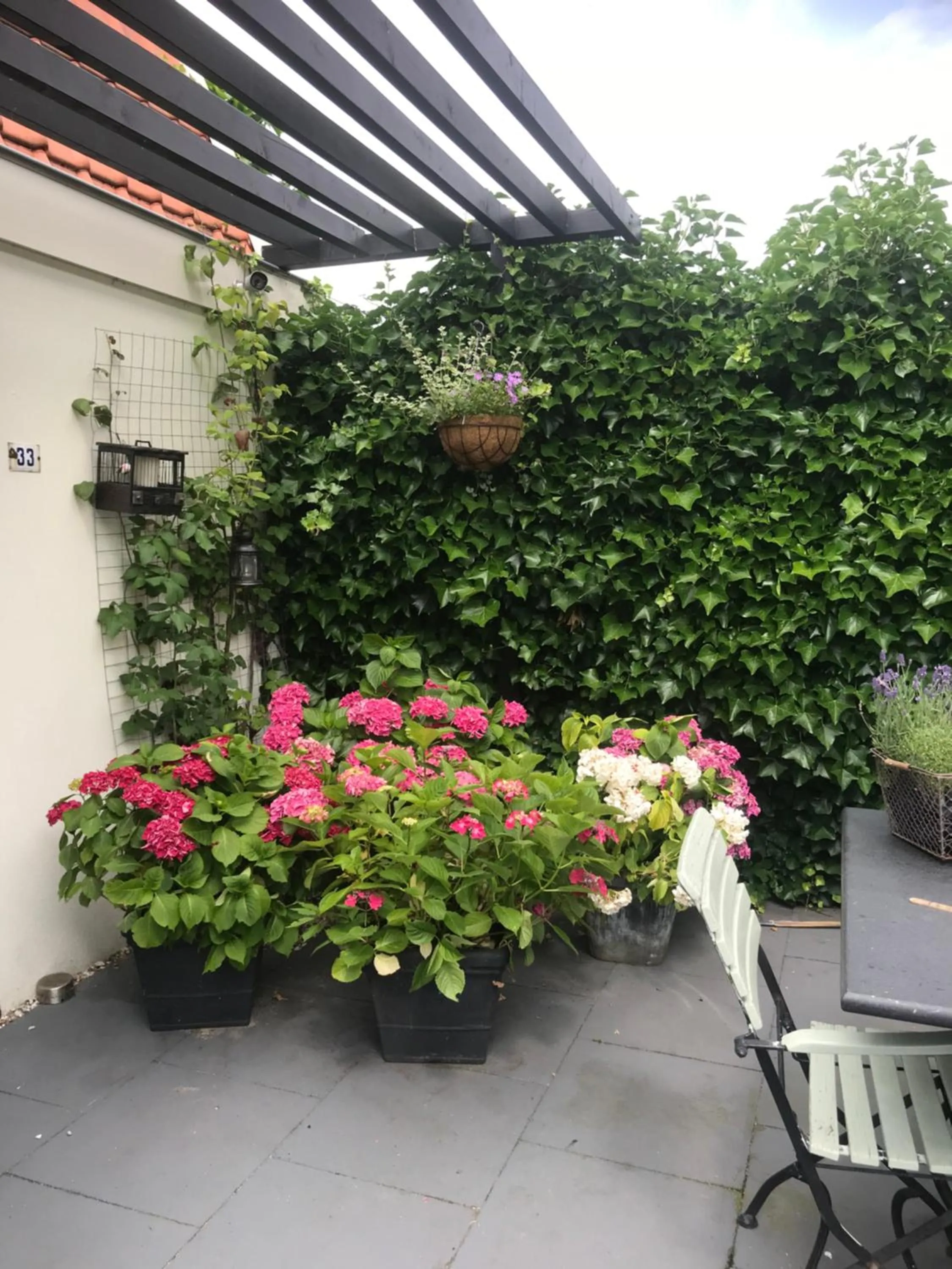 Garden in Bed & Breakfast Diemerbrug