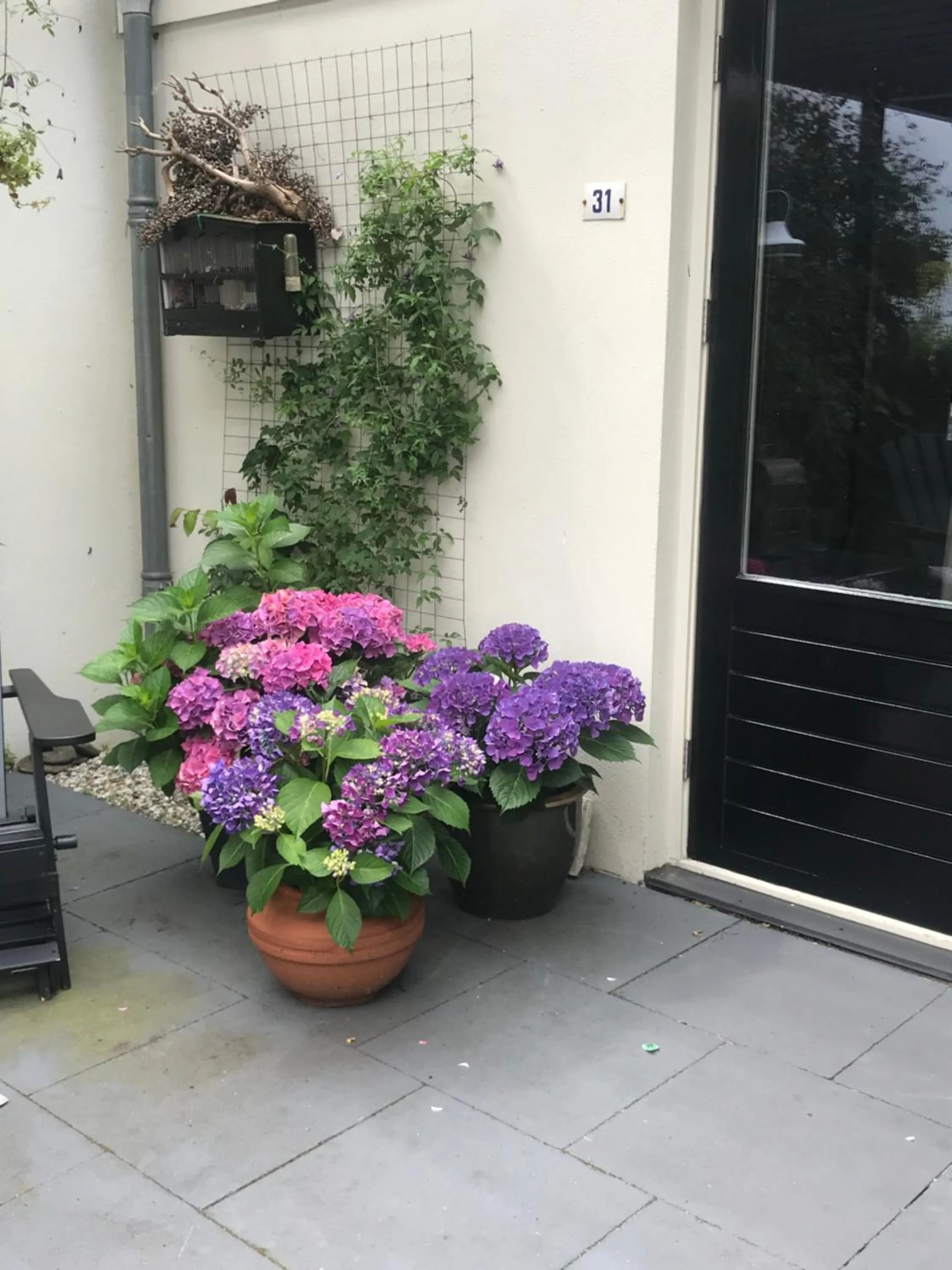 Garden in Bed & Breakfast Diemerbrug