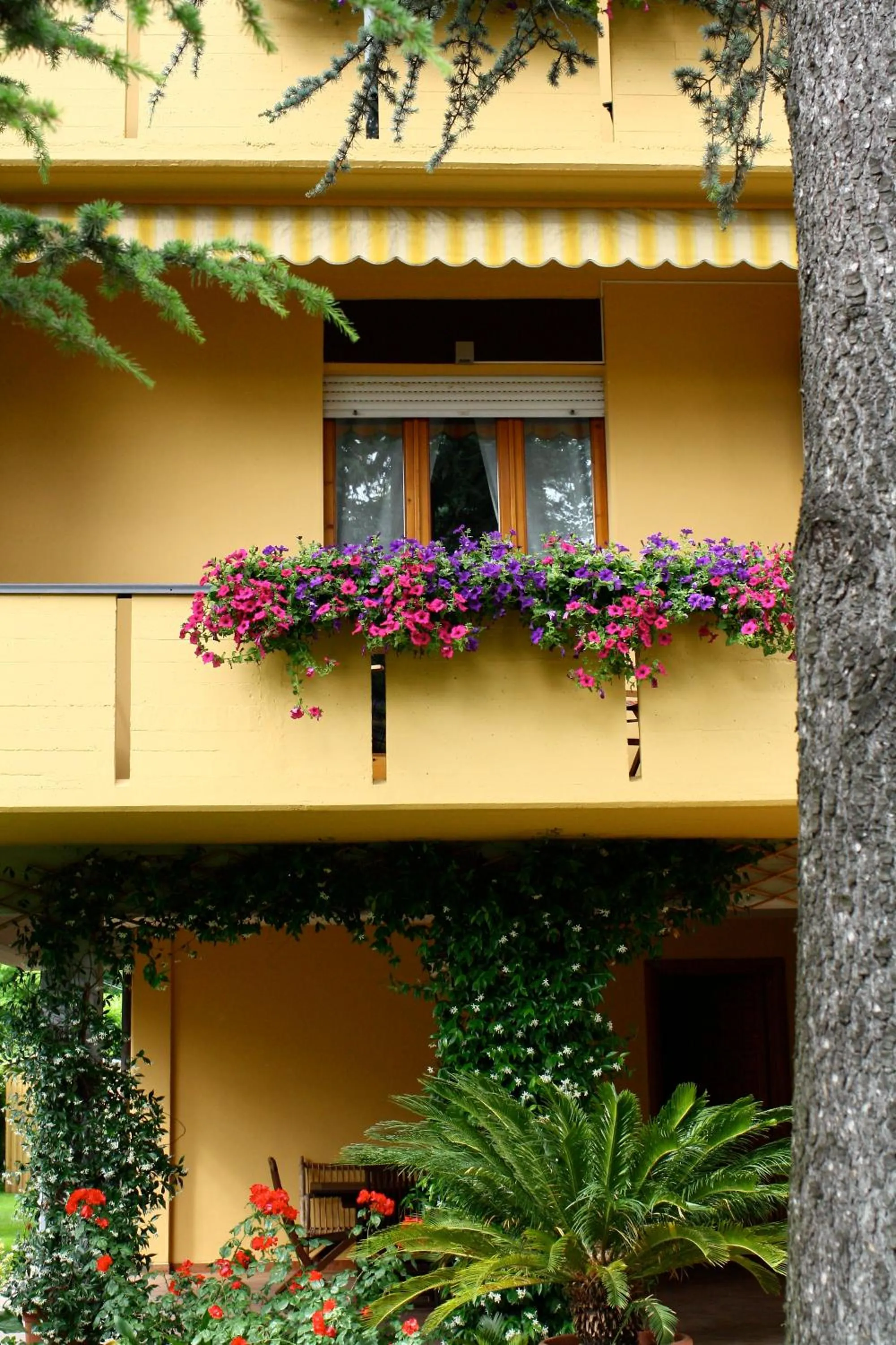 Street view in B&b Igea 50