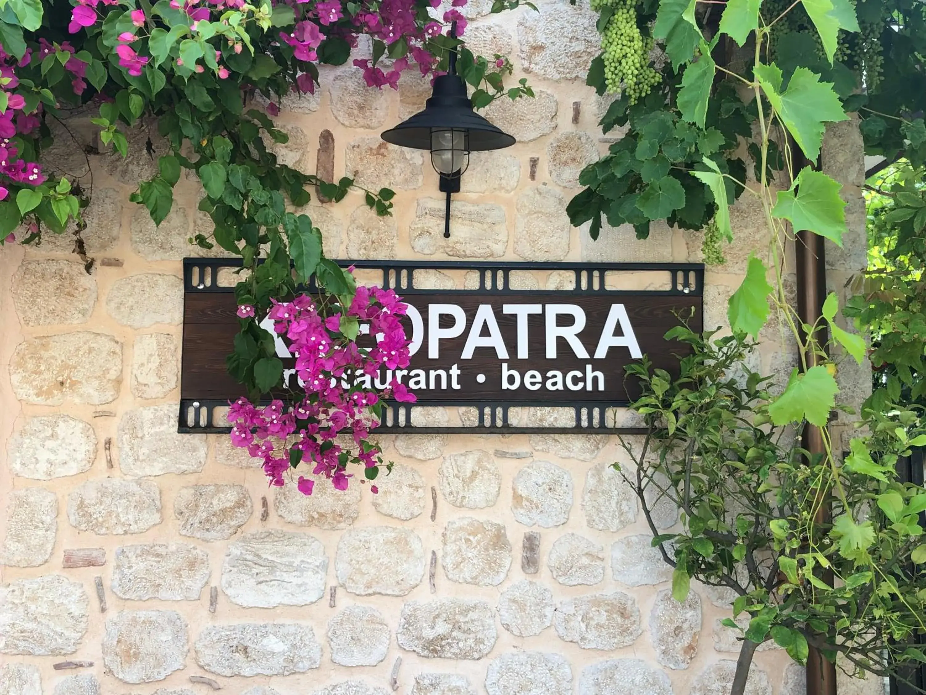 Property logo or sign in Side Kleopatra Beach Hotel