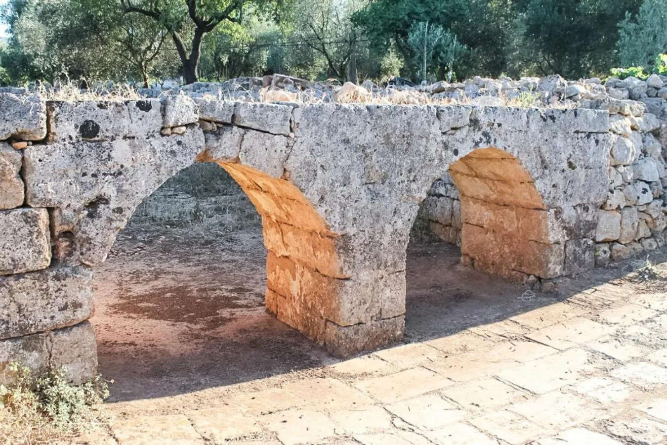 Other in Oltre gli Ulivi