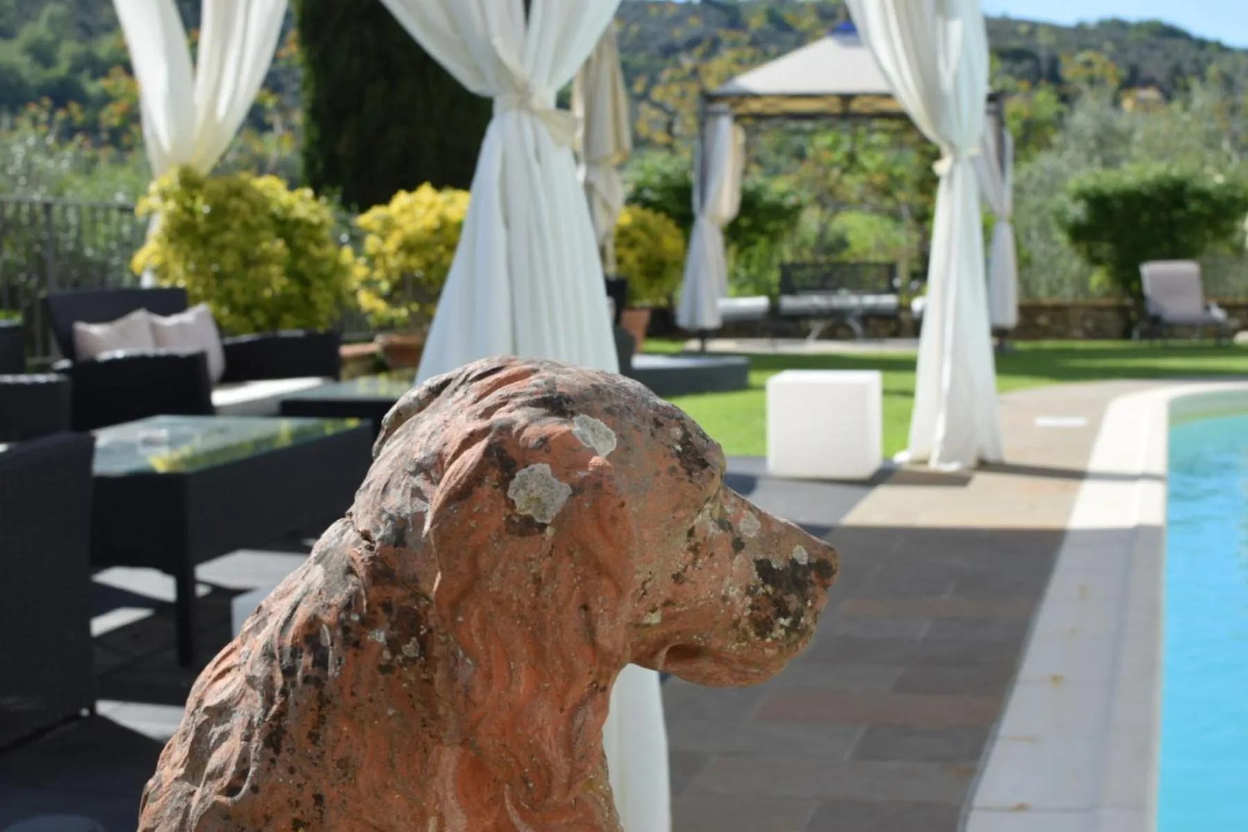 Garden in Villa Il Sasso - Dimora d'Epoca