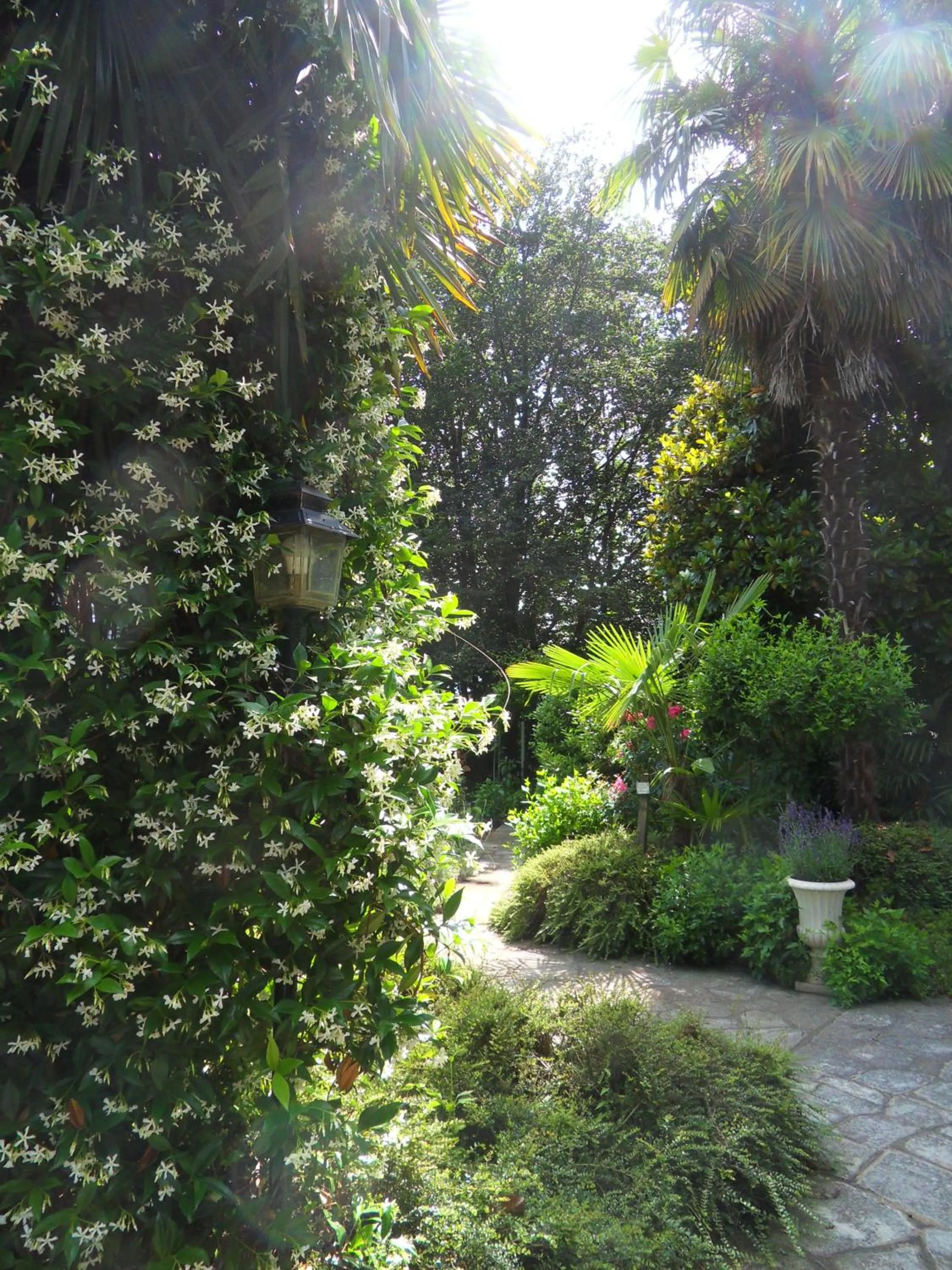 Cuore Verde
