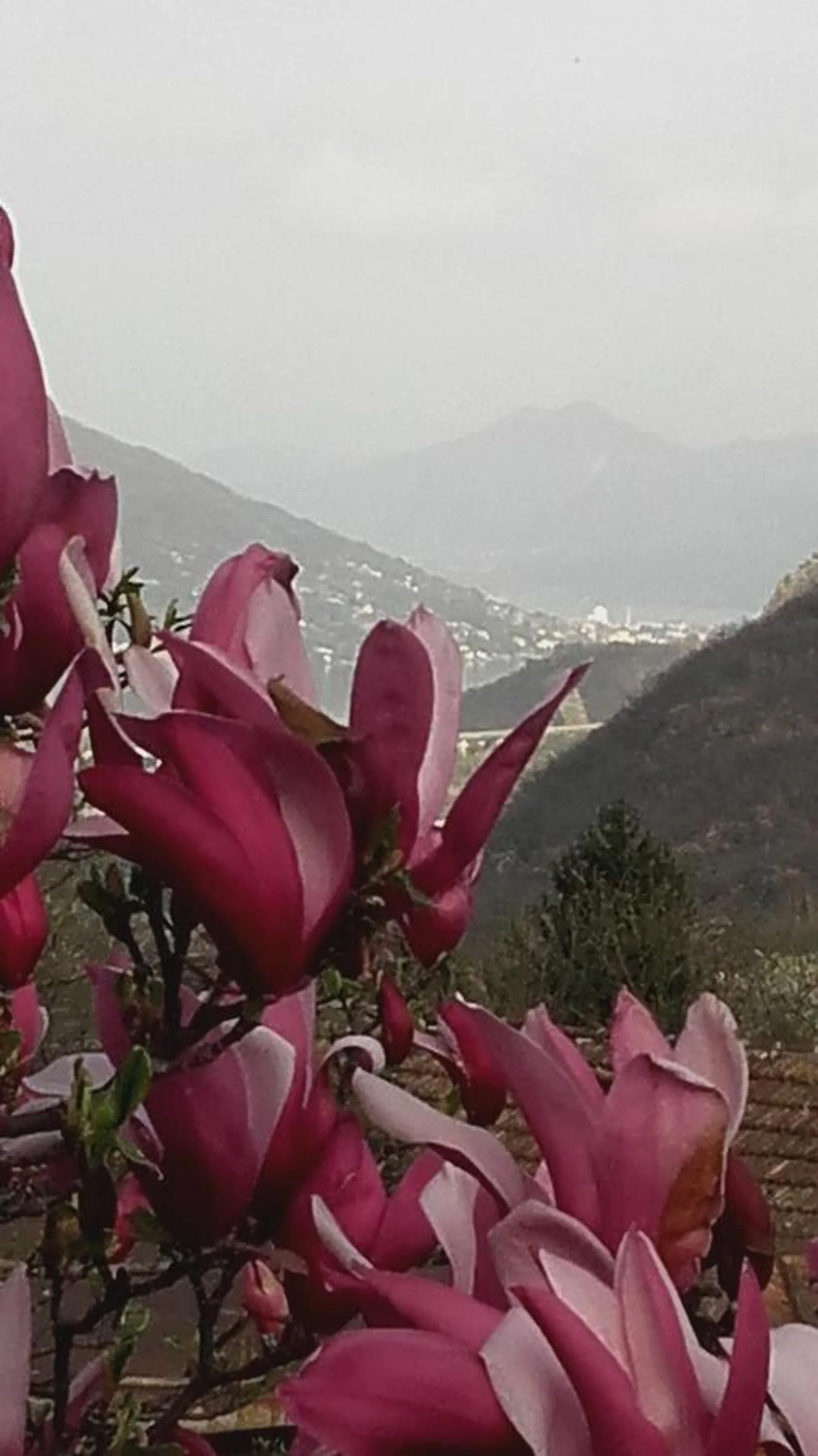 Garden view in B&B Al Mutpron