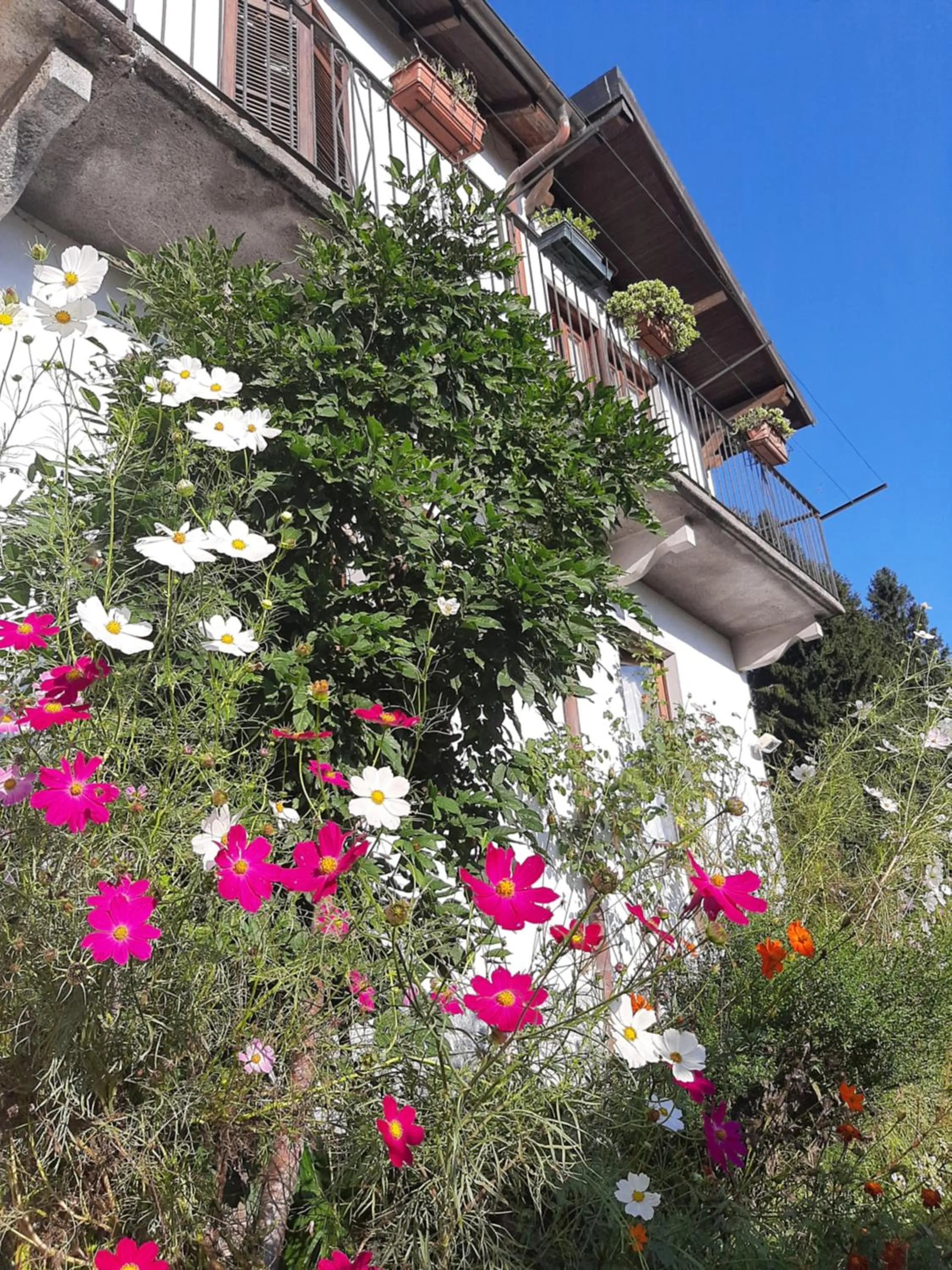 Garden in B&B Al Mutpron