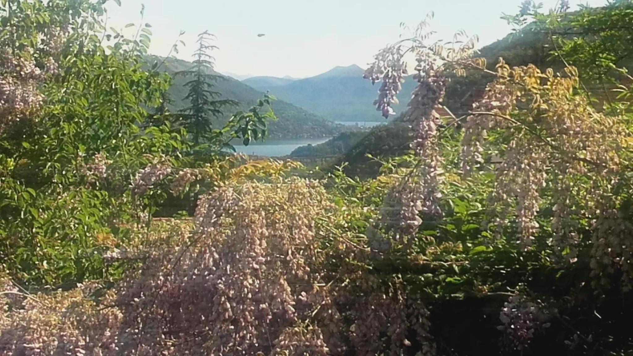 Garden view in B&B Al Mutpron