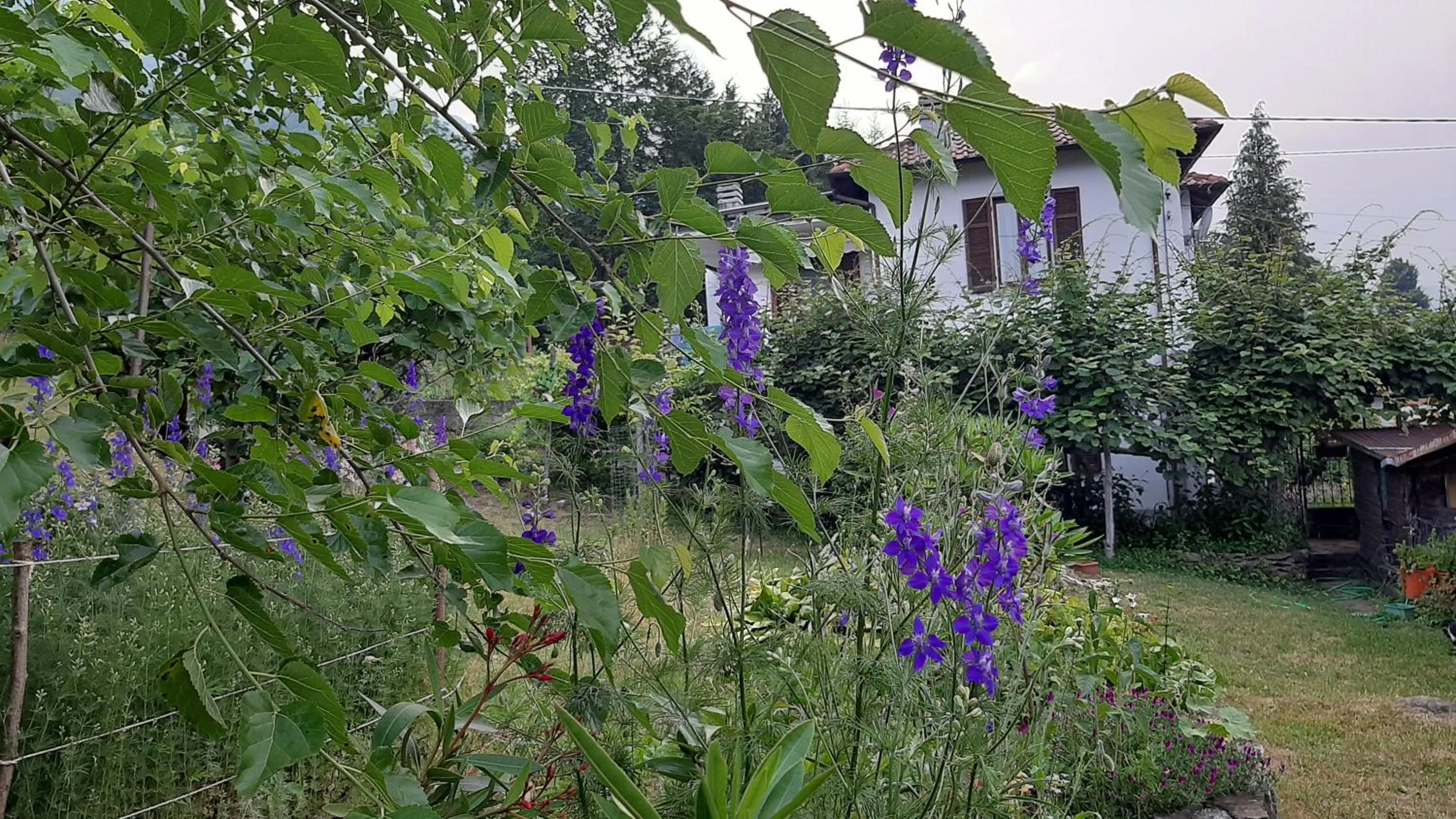 Garden in B&B Al Mutpron