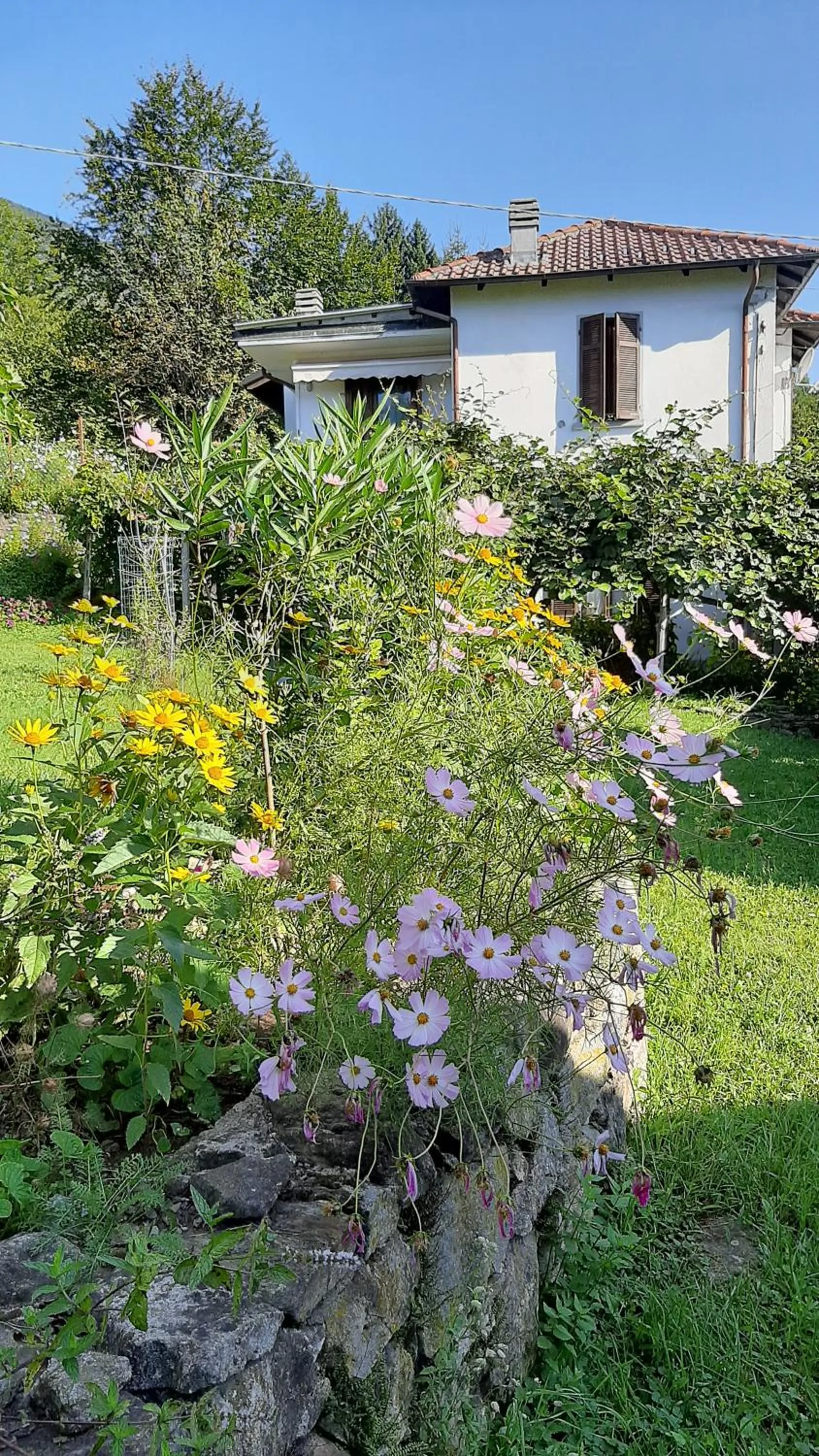 Garden in B&B Al Mutpron