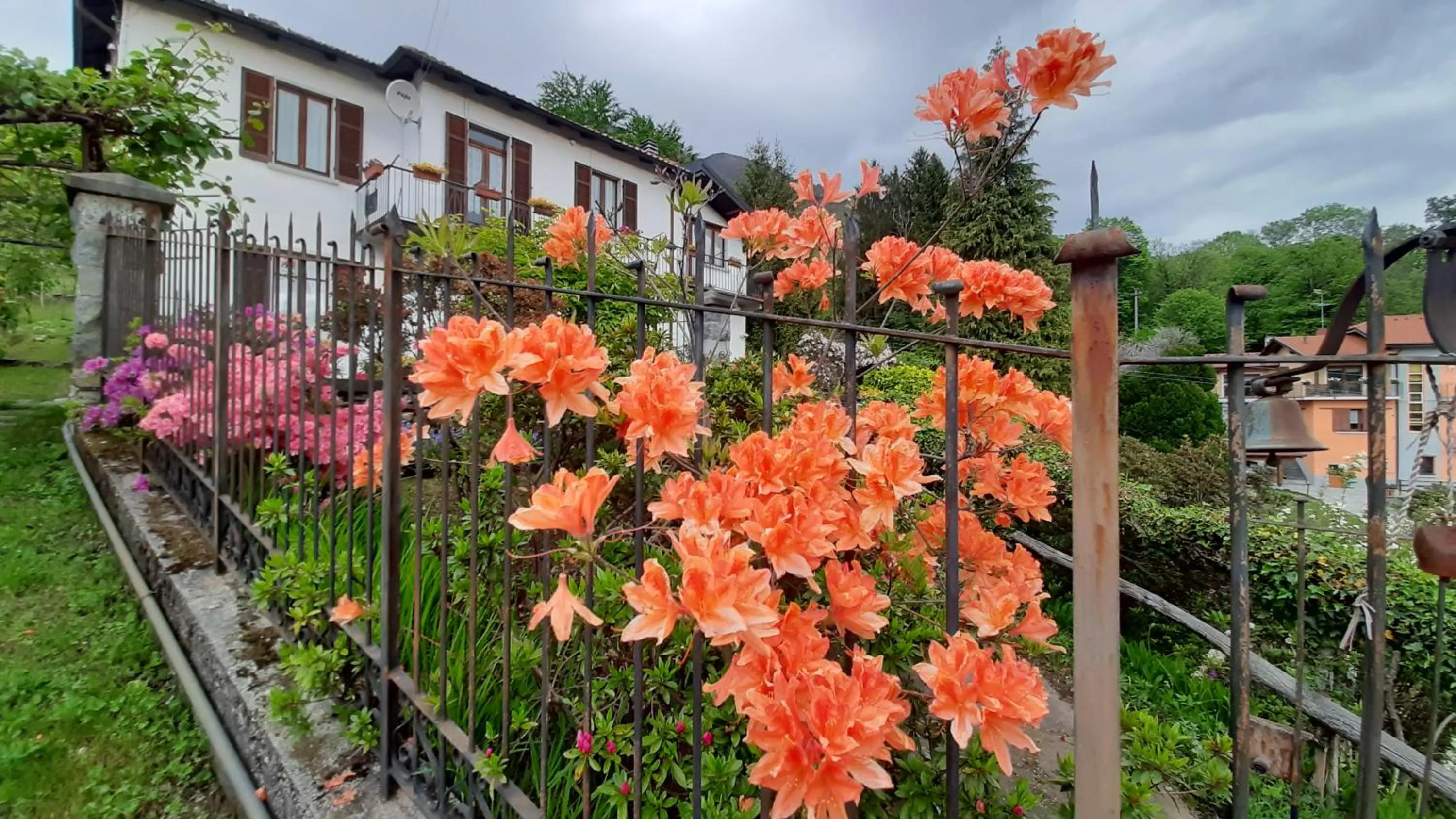 Garden in B&B Al Mutpron