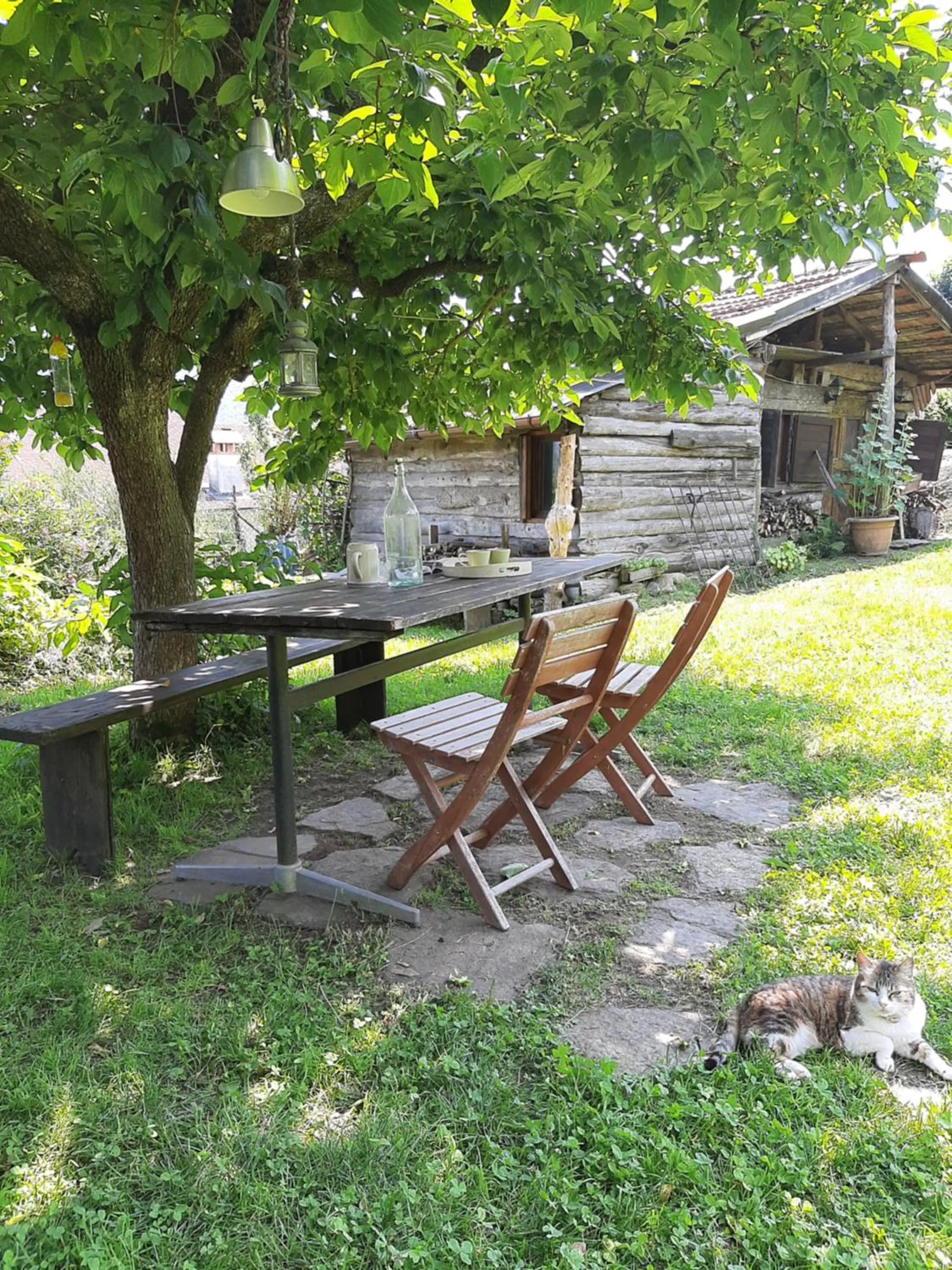 Garden in B&B Al Mutpron