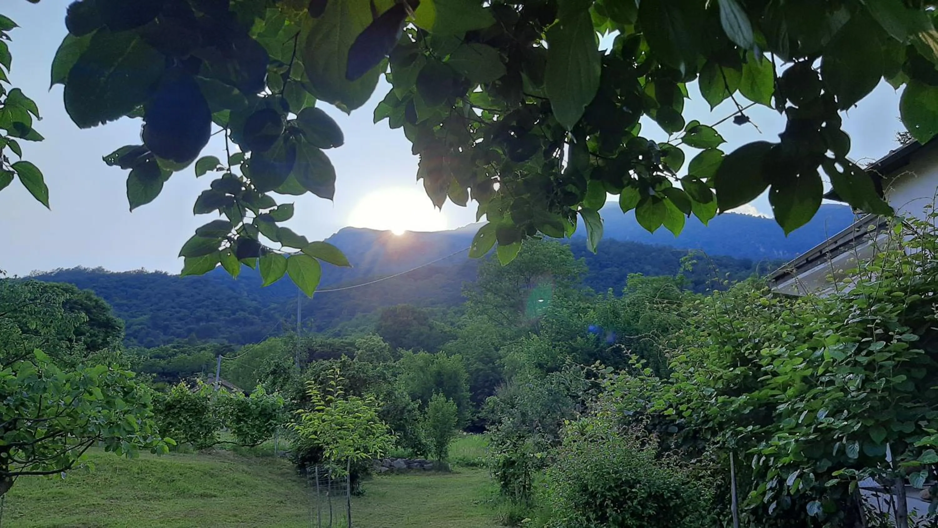 Garden in B&B Al Mutpron