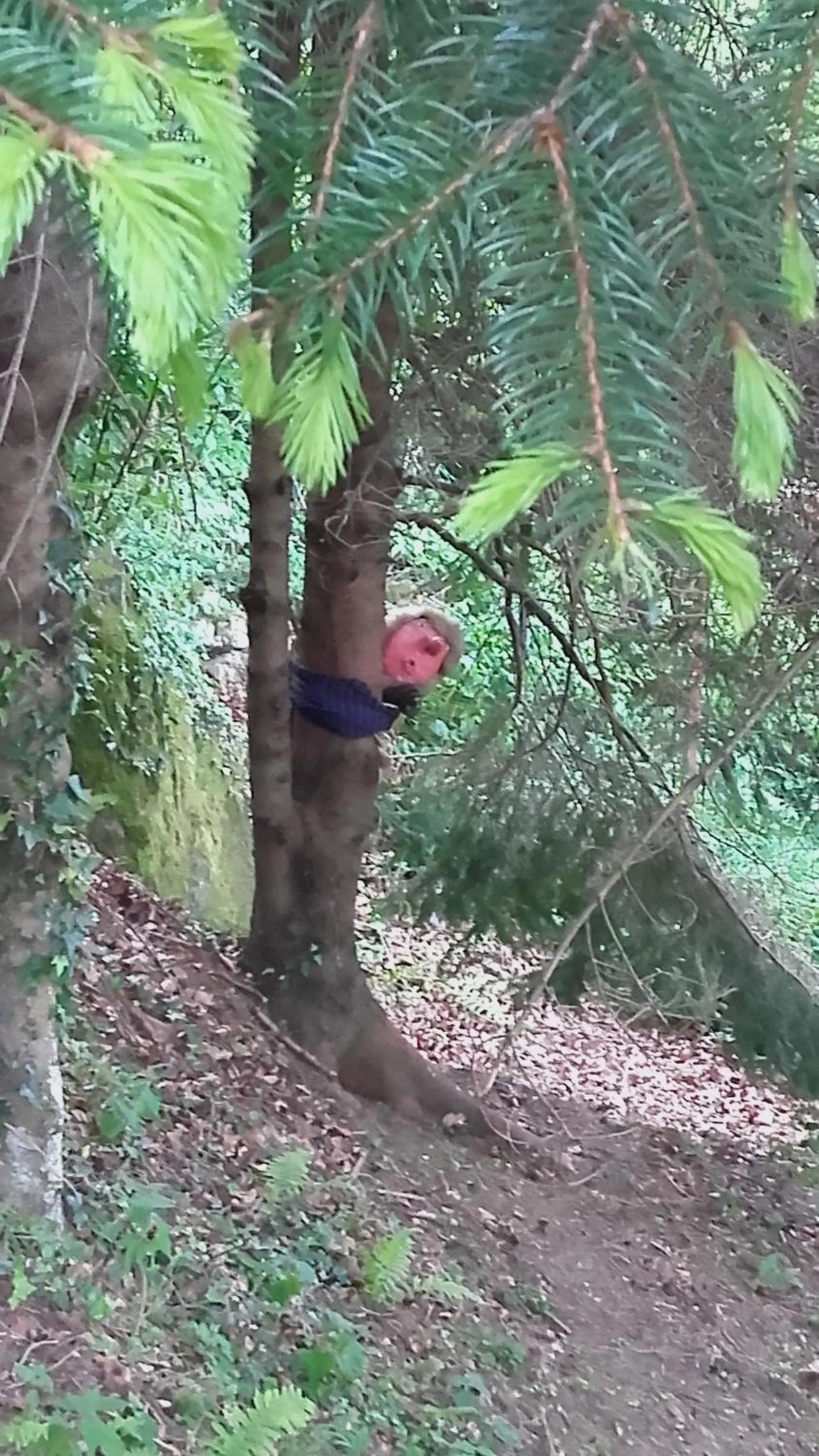 Decorative detail in B&B Al Mutpron