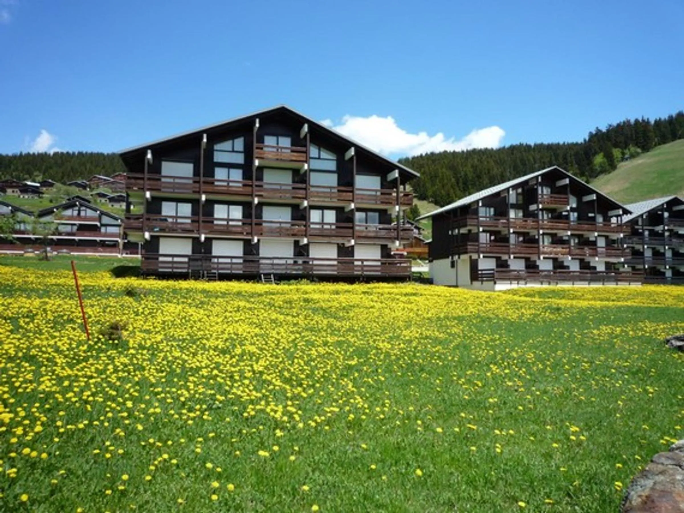 Studio cabine avec grande terrasse et emplacement idéal - FR-1-293-15