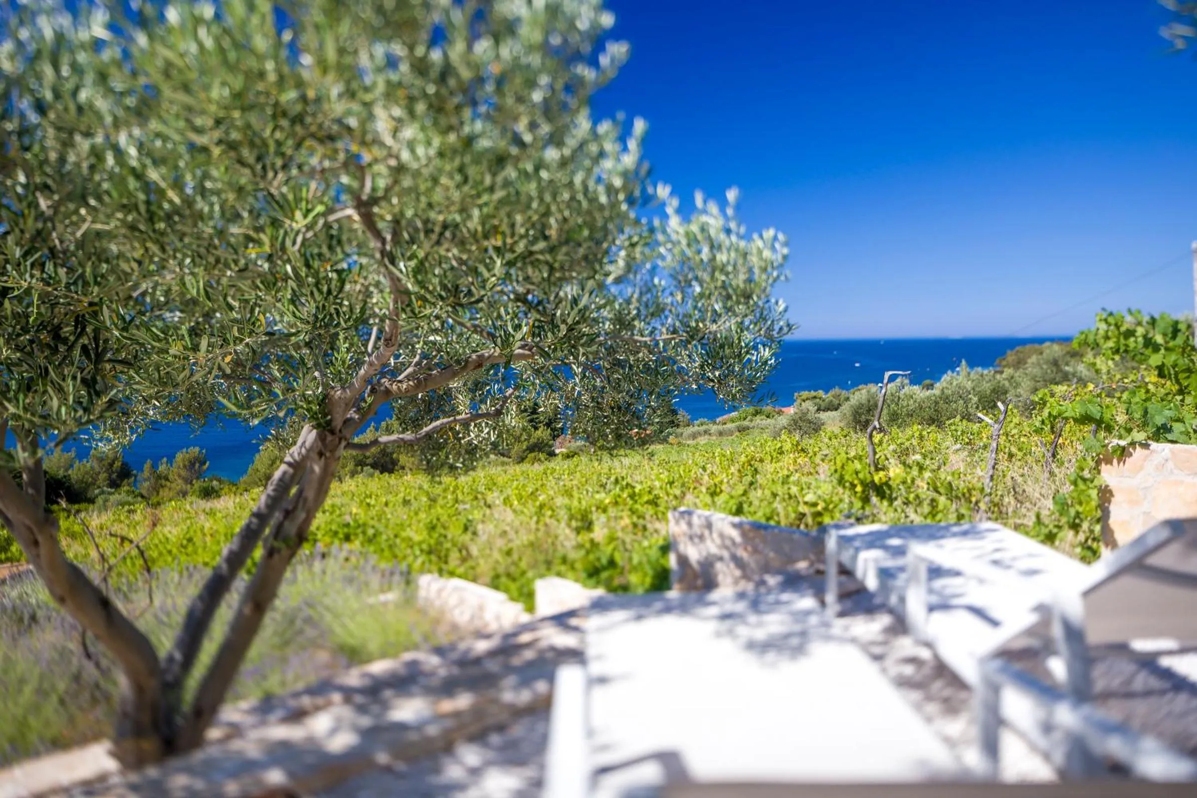 Neighbourhood in Stella Mare Eco Boutique House