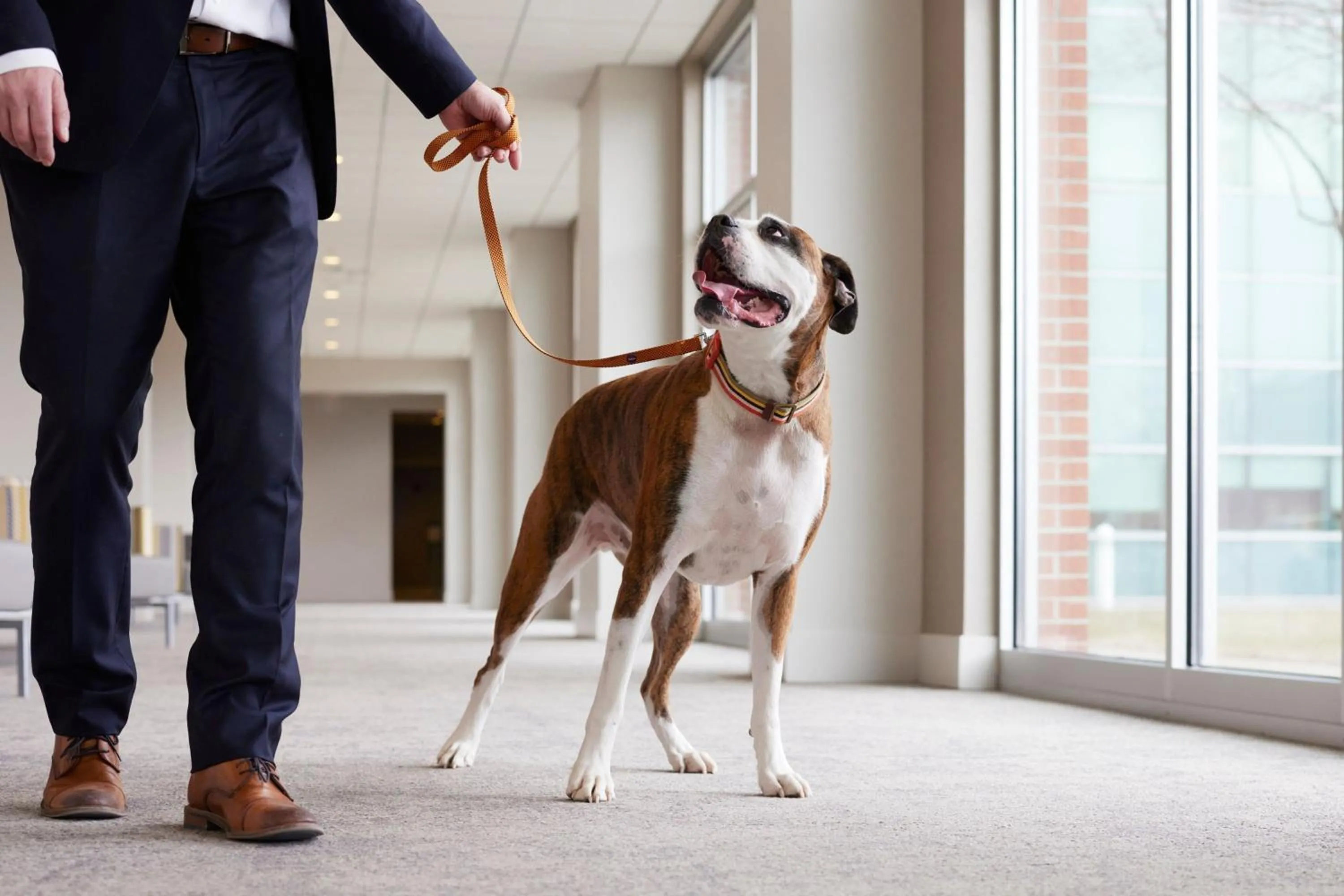 Other in Courtyard by Marriott Erie Bayfront