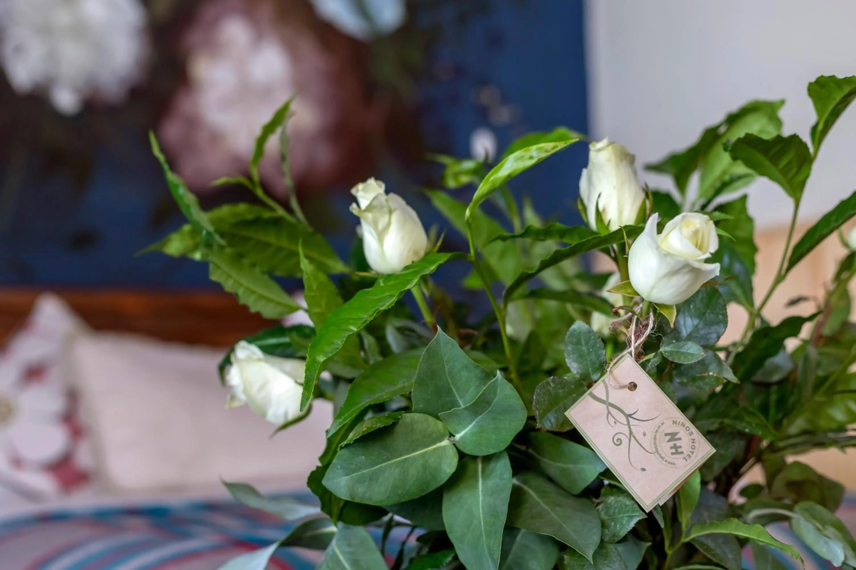 room service in Niños Hotel Fierro