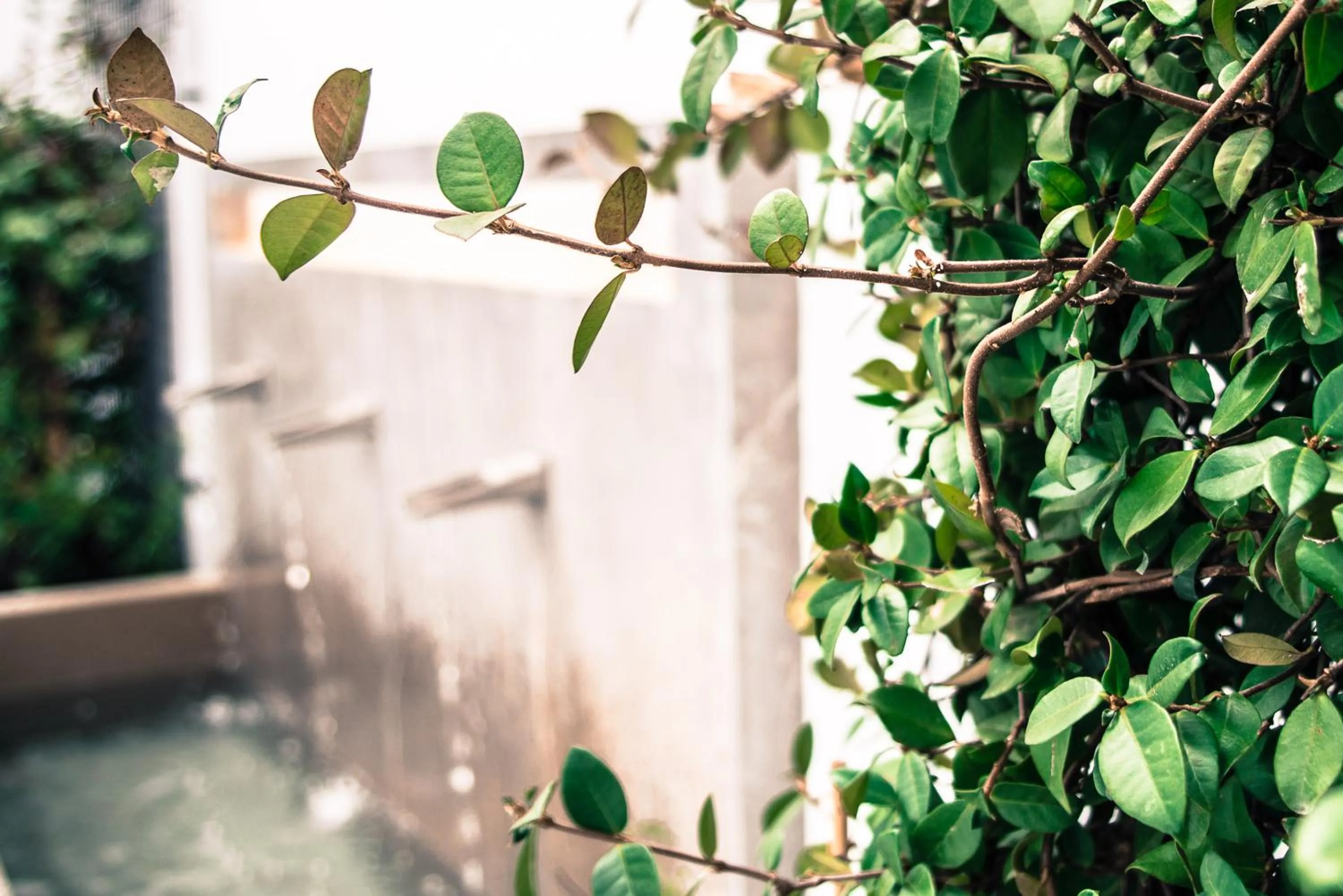 Patio in Apartamentos Campo Del Príncipe