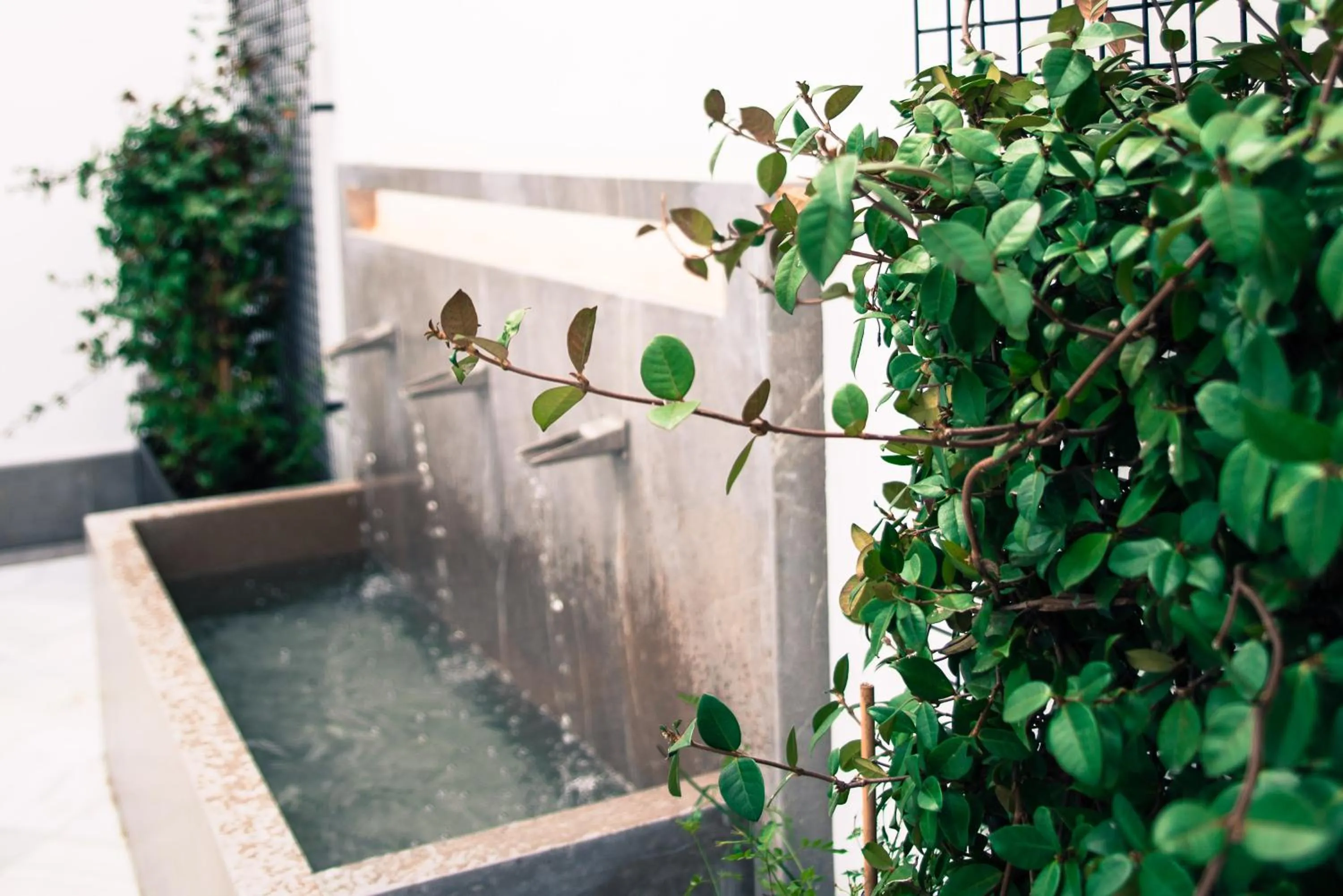 Patio in Apartamentos Campo Del Príncipe